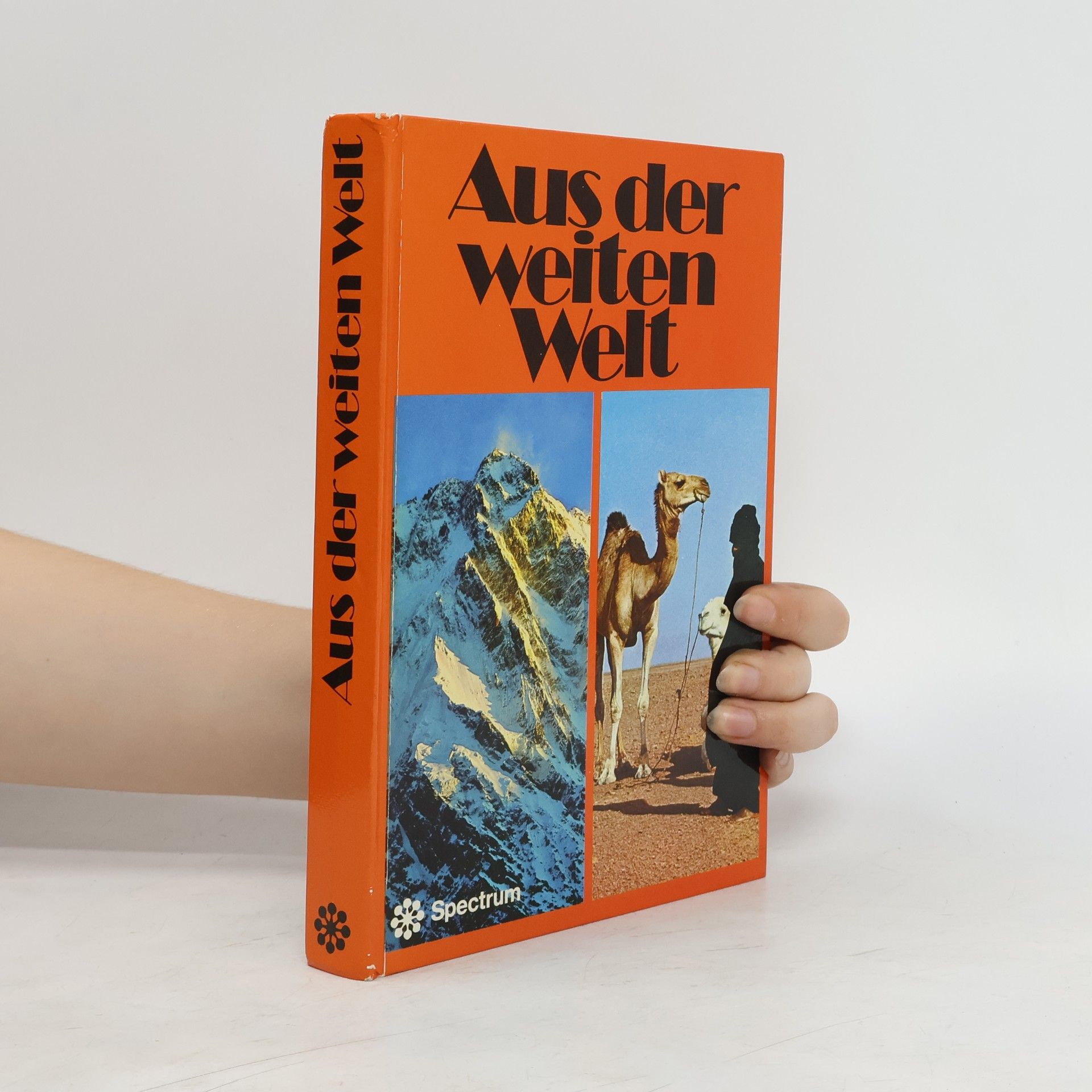 Ernst Waldemar Bauer Aus der weiten Welt