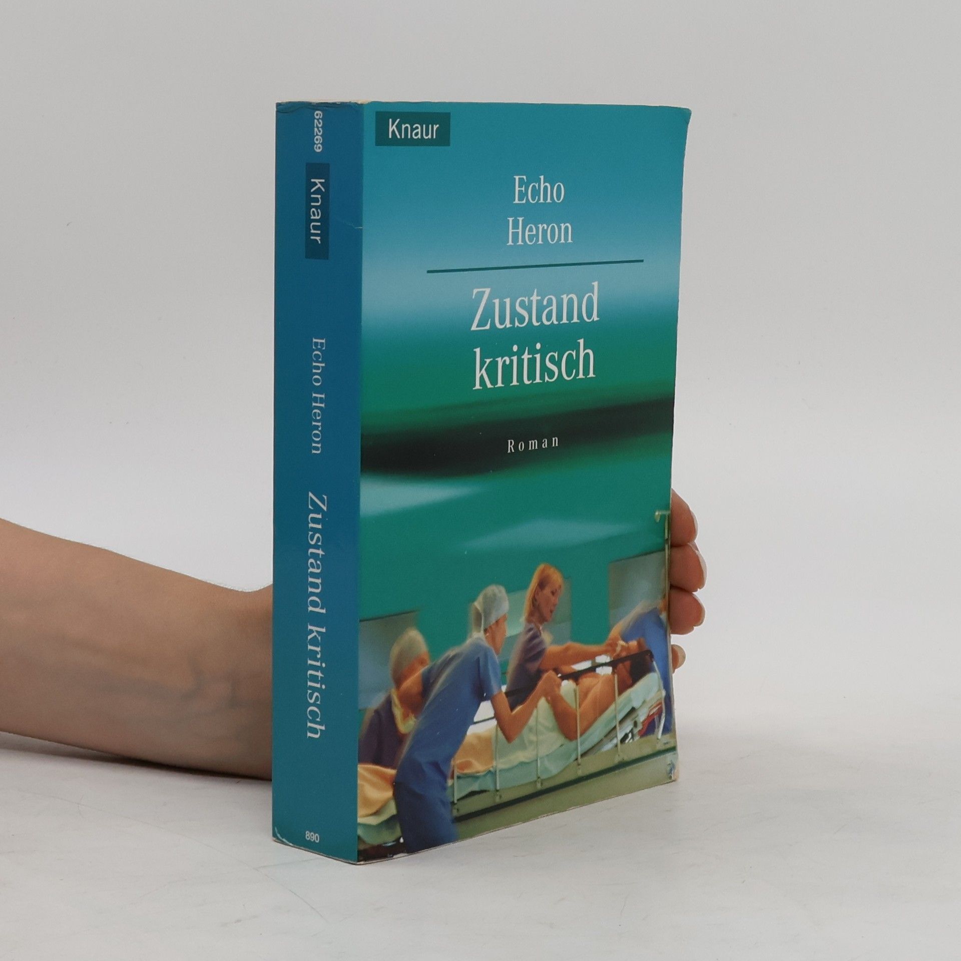 Heron Echo Zustand: kritisch