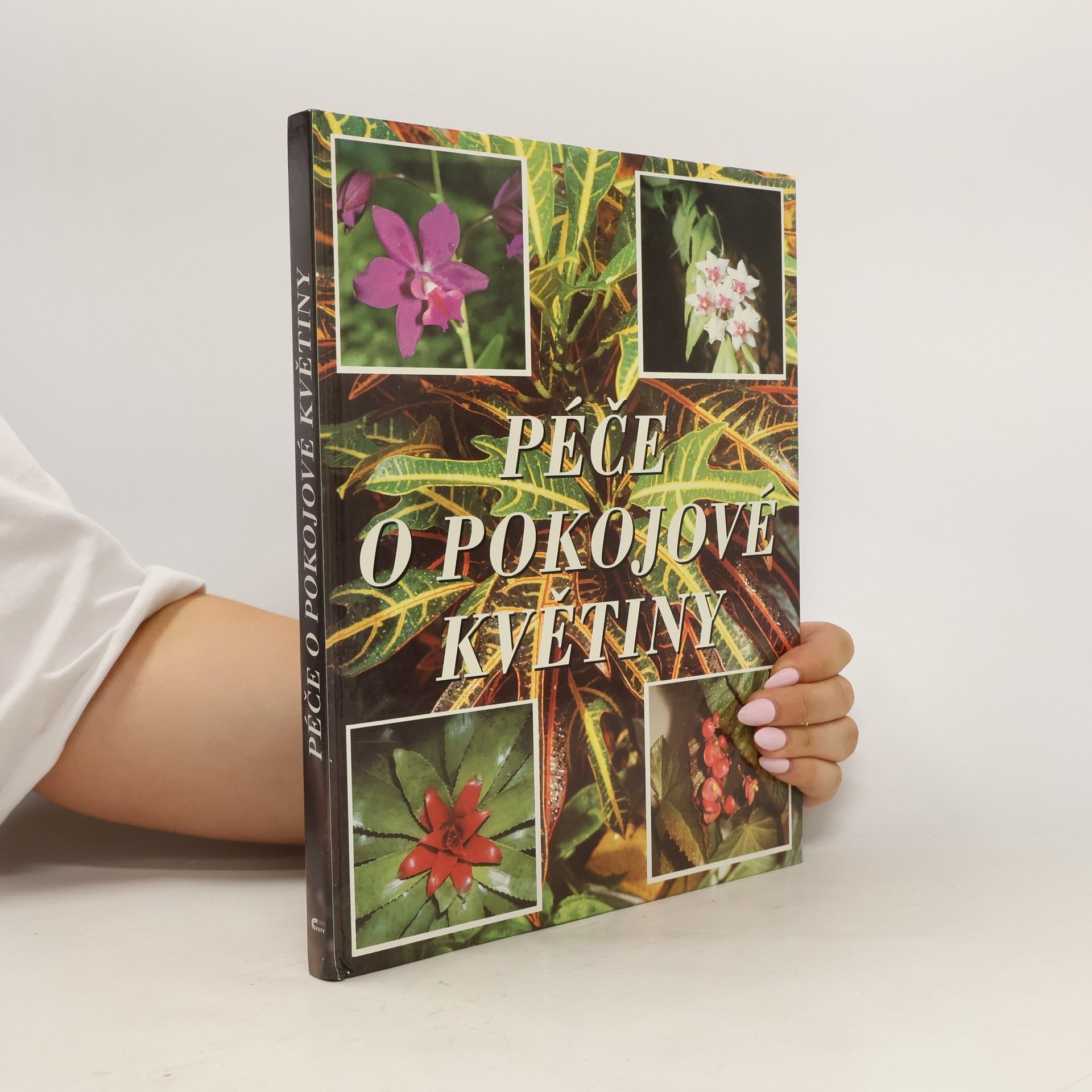 Isabel López Pérez Péče o pokojové květiny