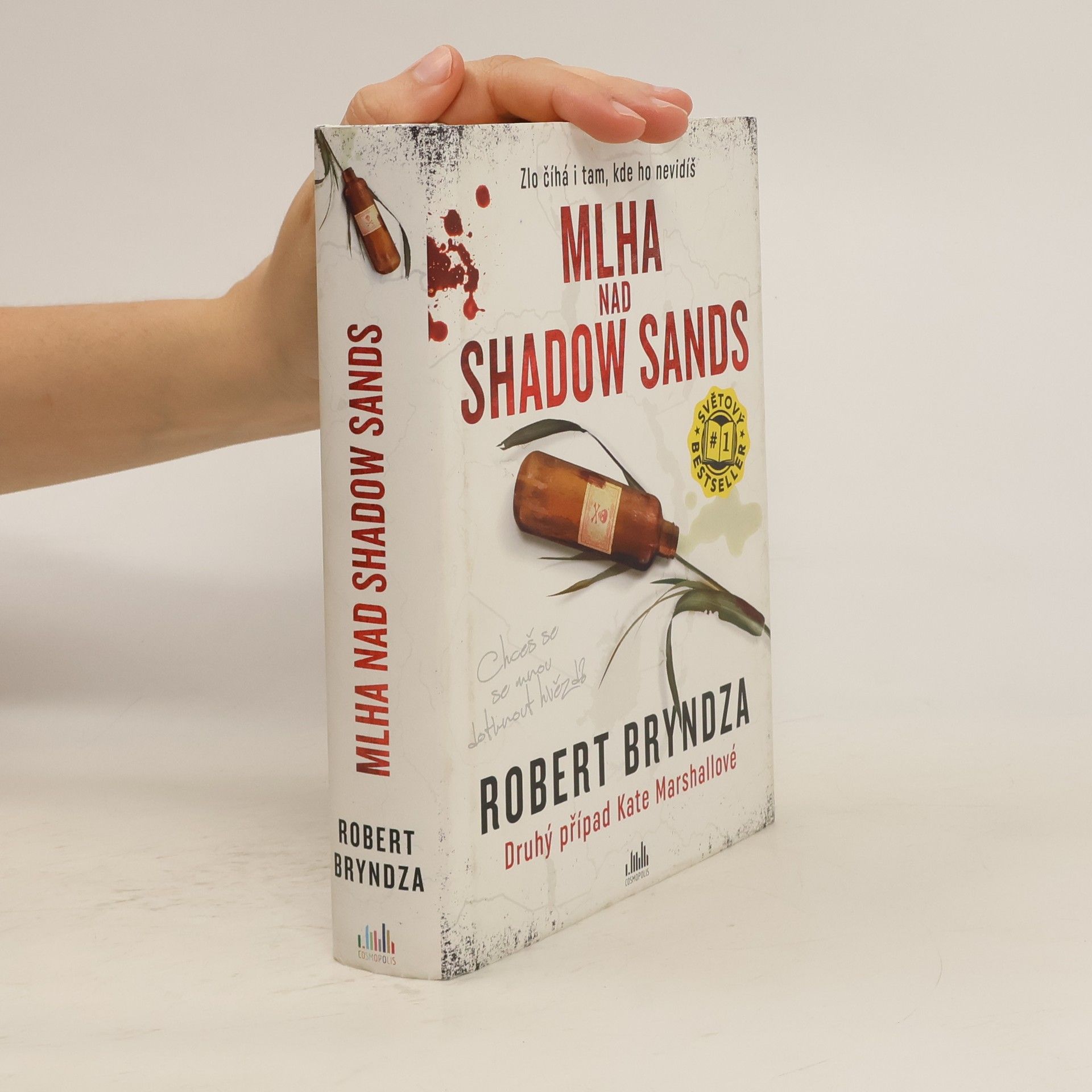 Robert Bryndza Mlha nad Shadow Sands
