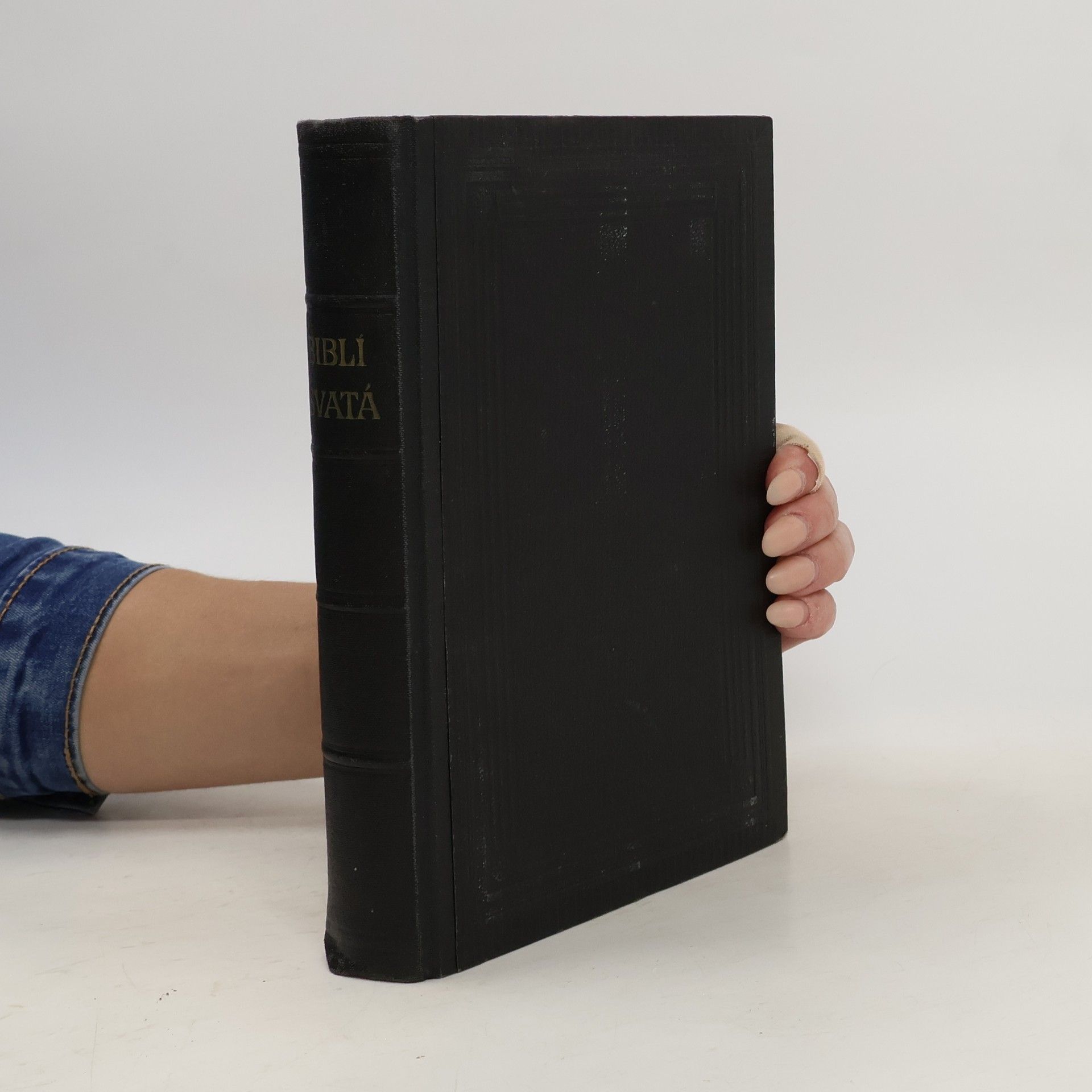 kolektiv Biblí svatá aneb Všecka svatá písma Starého i Nového zákona