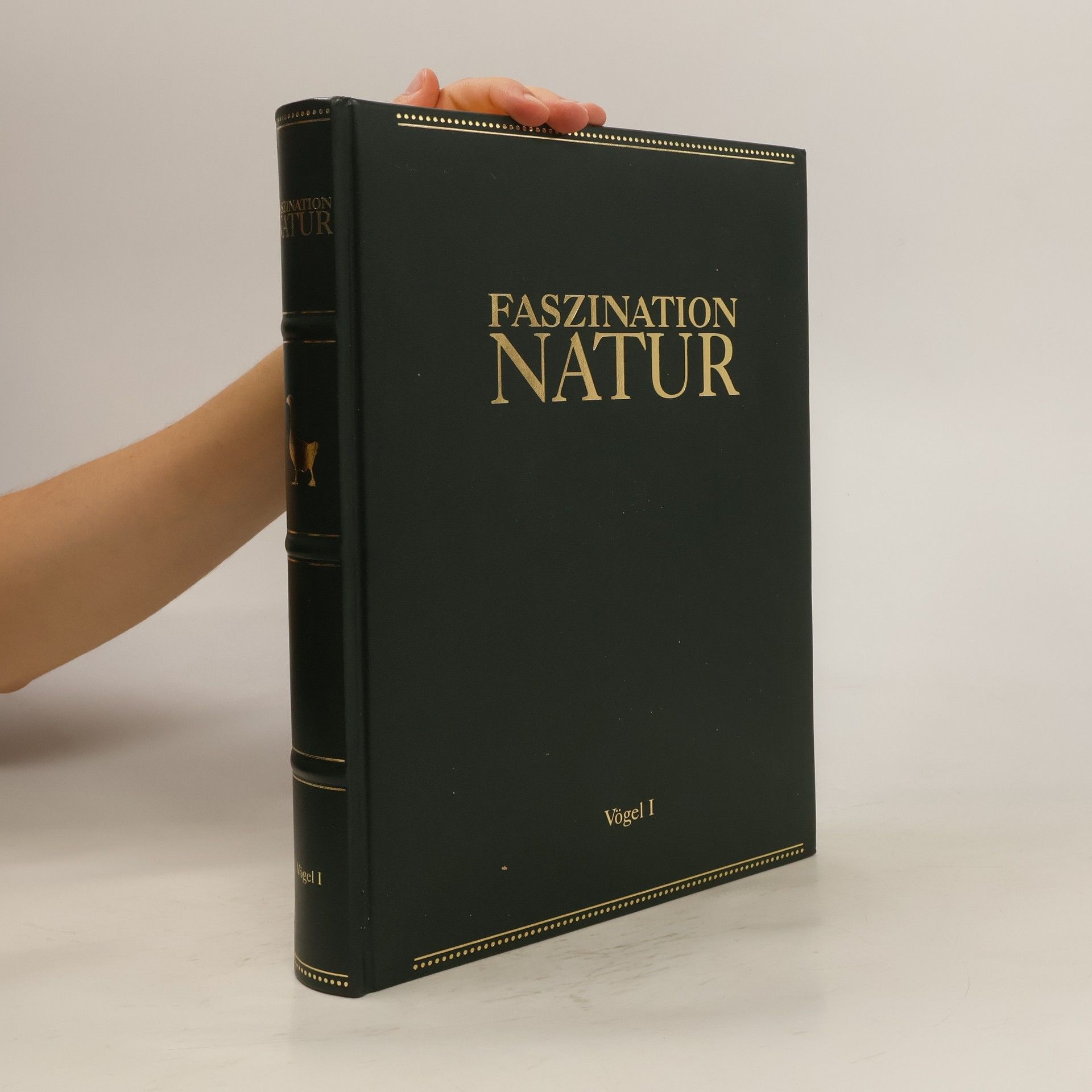 Autorenkollektiv Faszination Natur. Vögel I