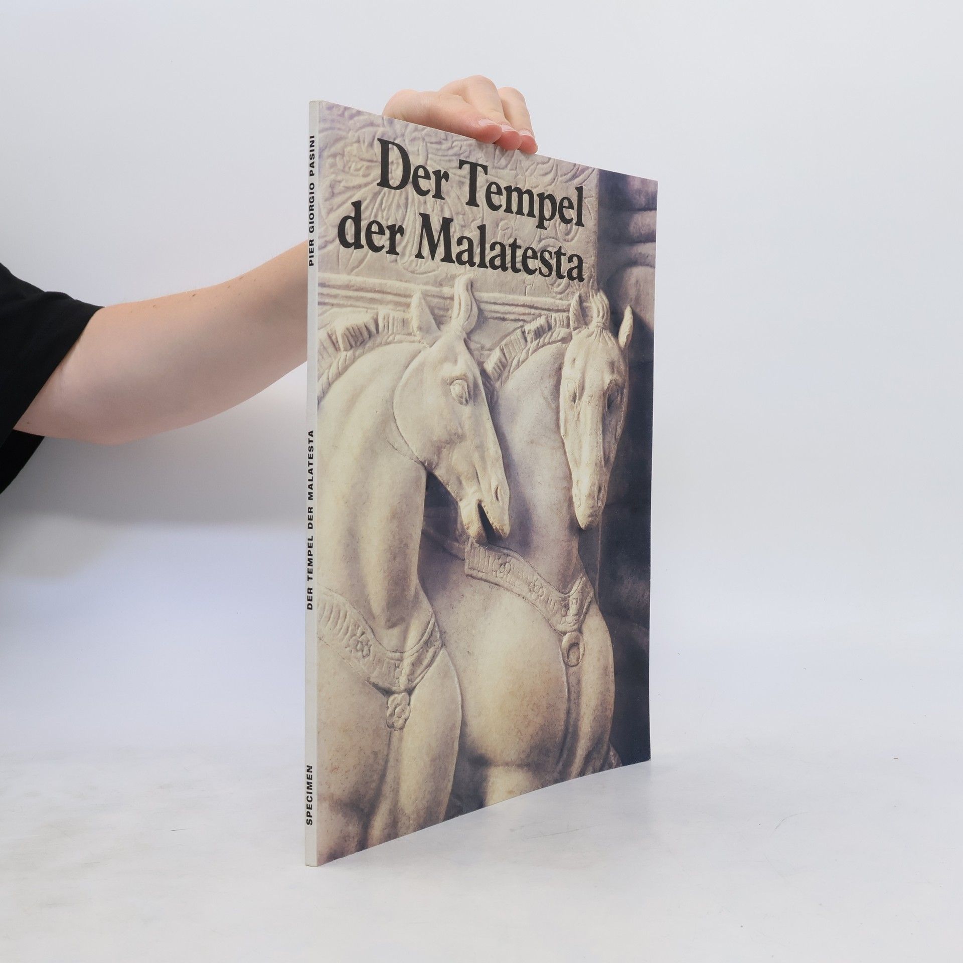 Autorenkollektiv Der Tempel der Malatesta