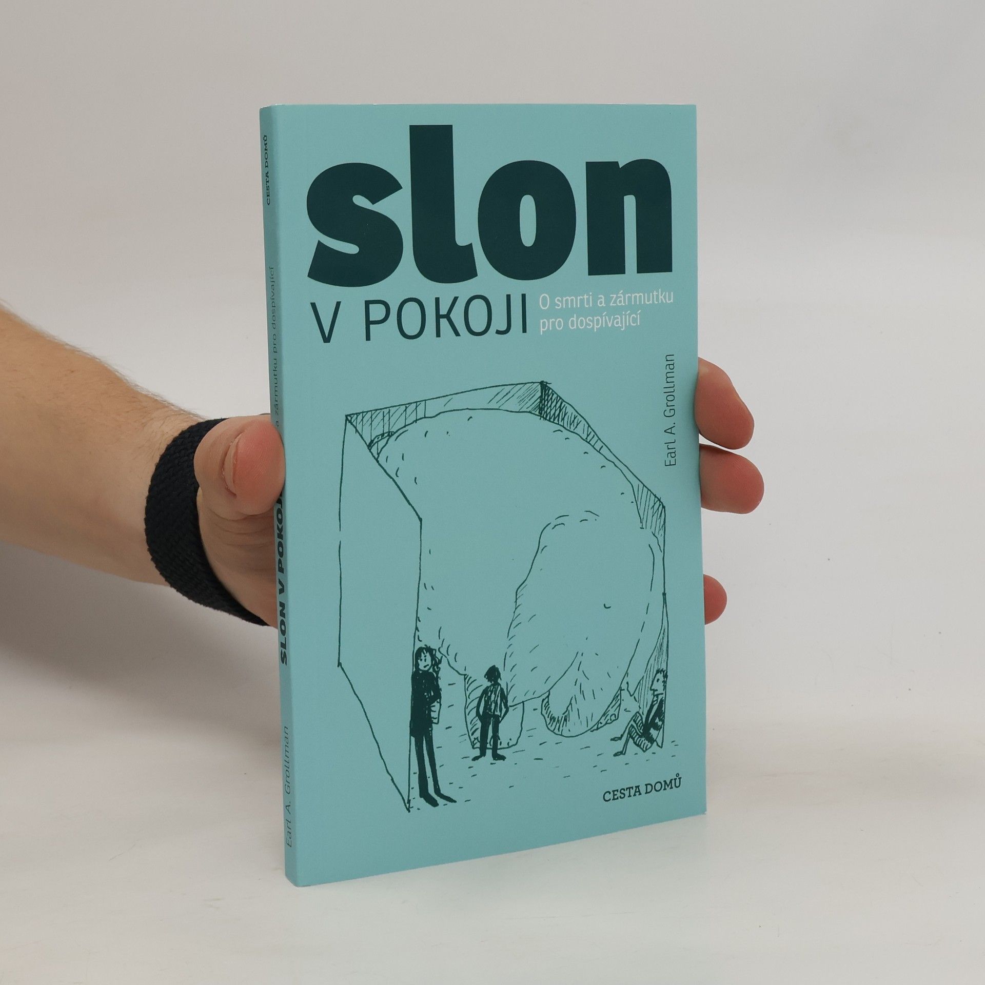 Lenka Kapsová Slon v pokoji : o smrti a zármutku pro dospívající