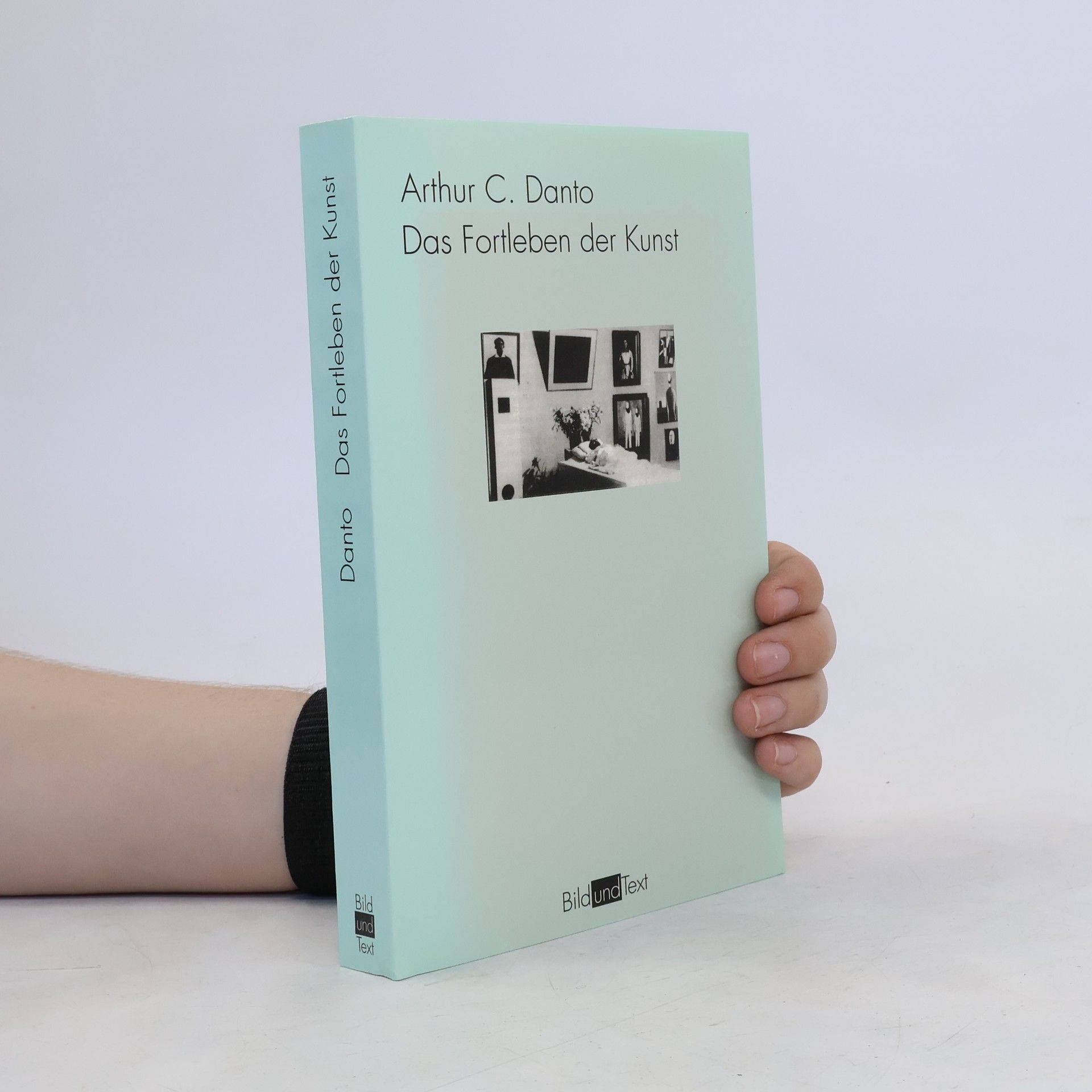 Arthur Danto Das Fortleben der Kunst