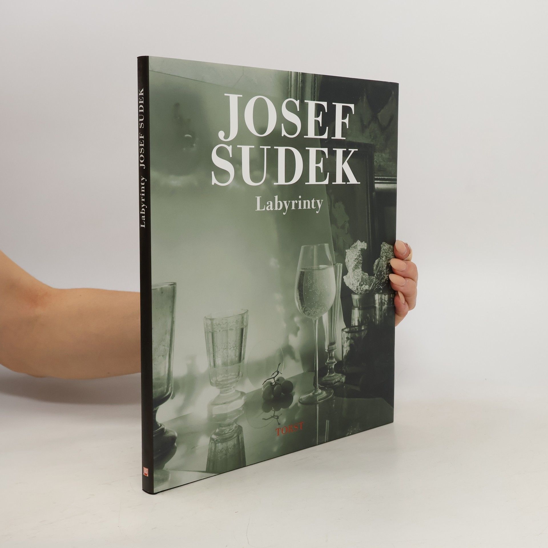 Josef Sudek Labyrinty