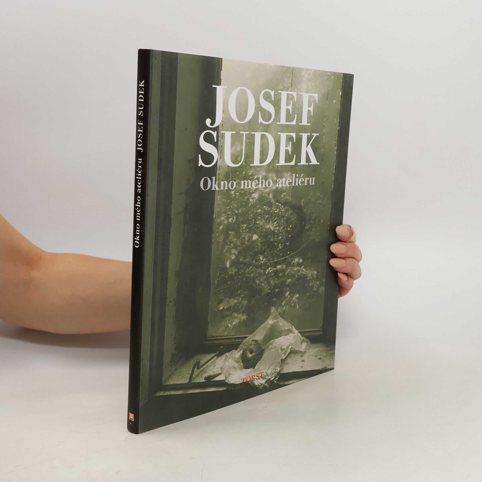 Josef Sudek Okno mého ateliéru