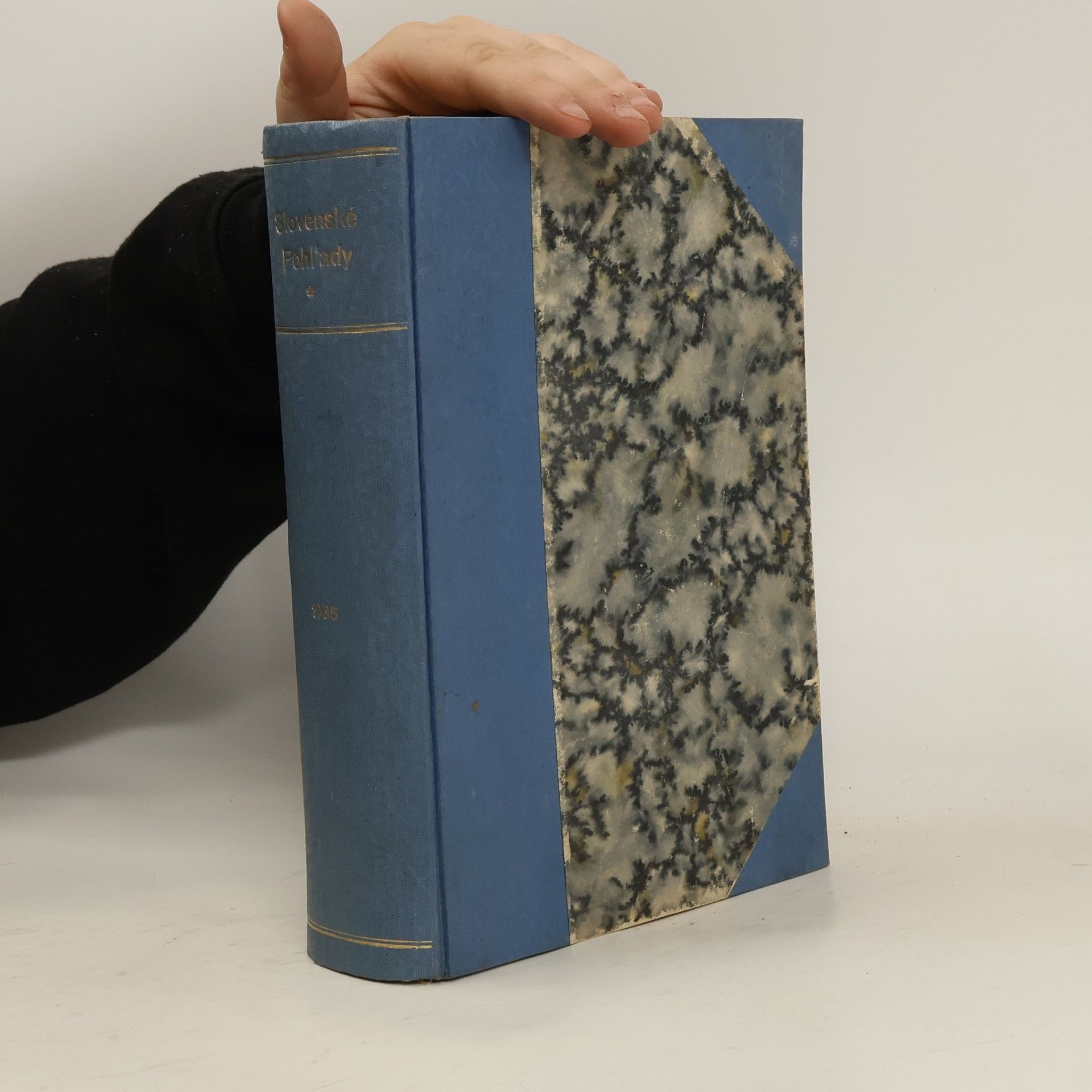 Collectif d'auteurs Slovenské pohľady