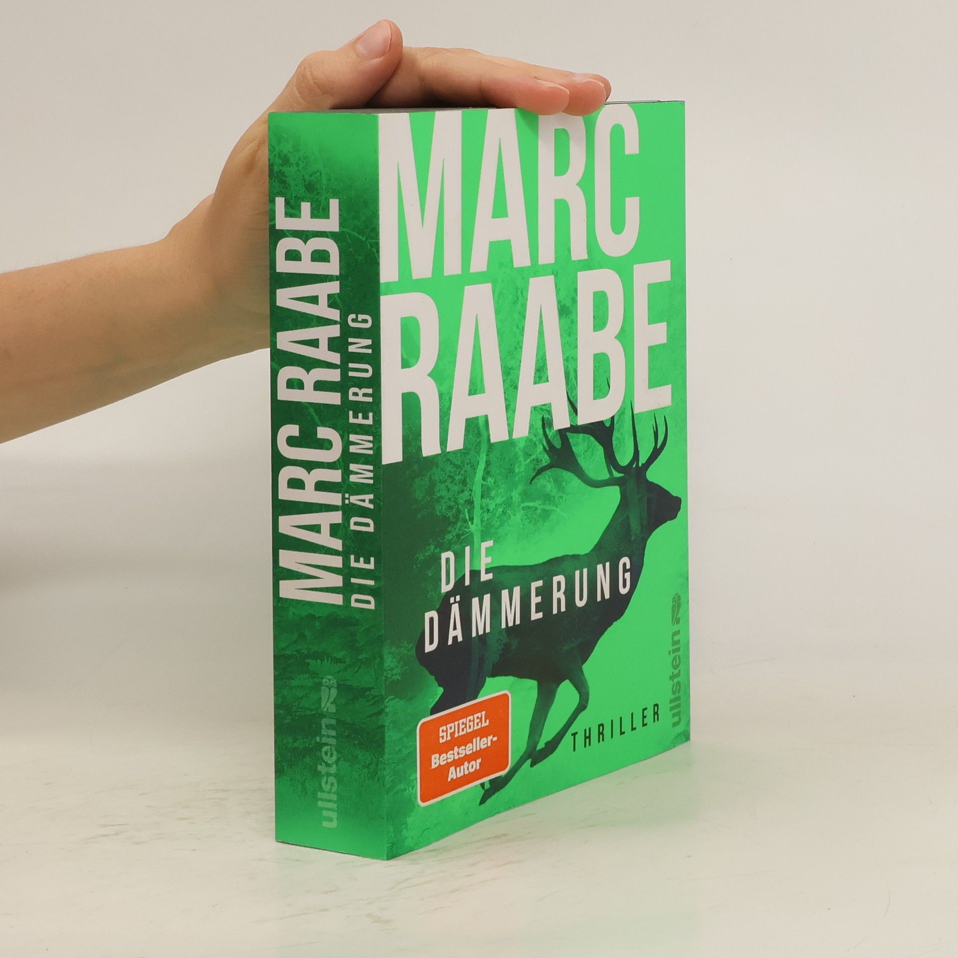 Marc Raabe Die Dämmerung