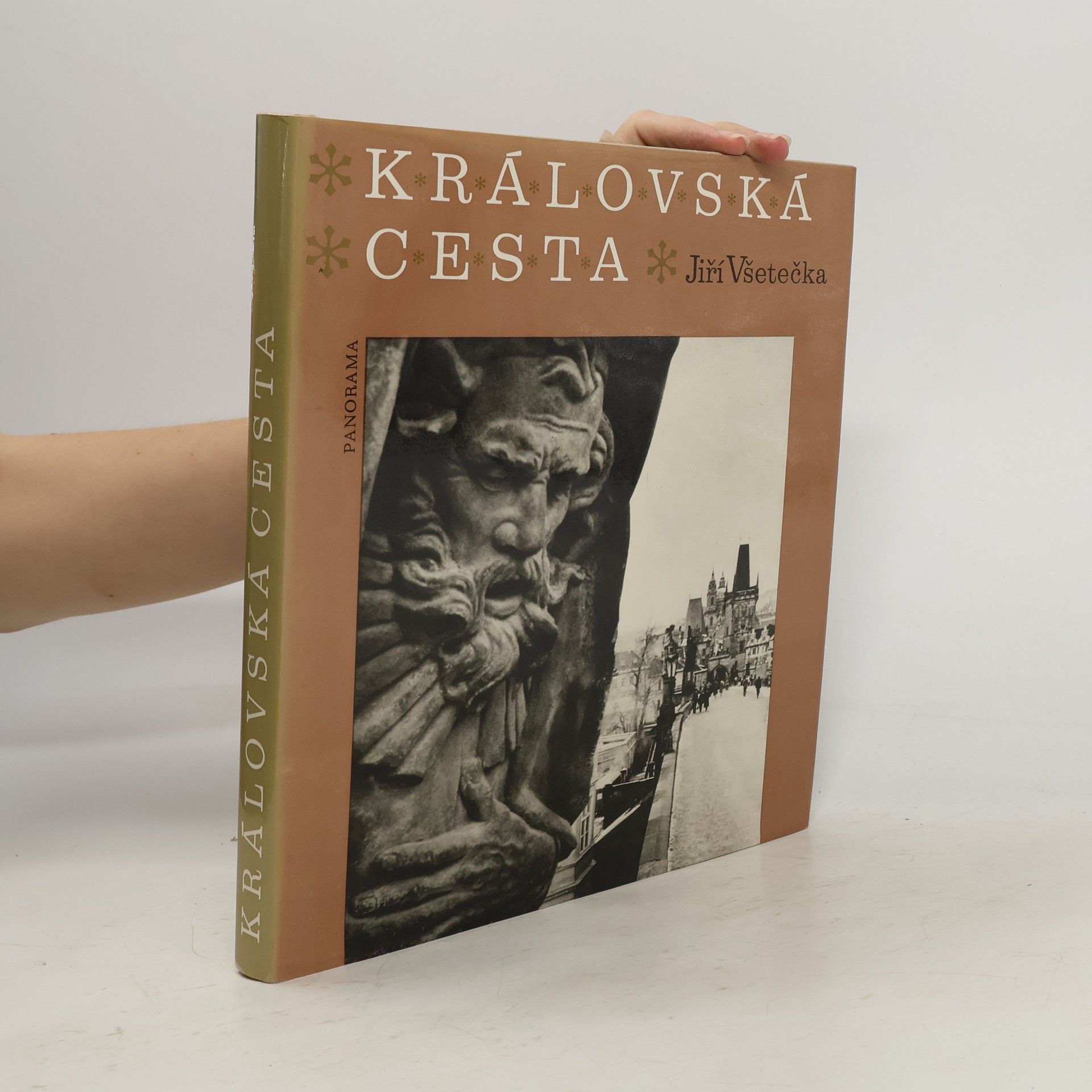 Jiri Vsetecka Královská cesta