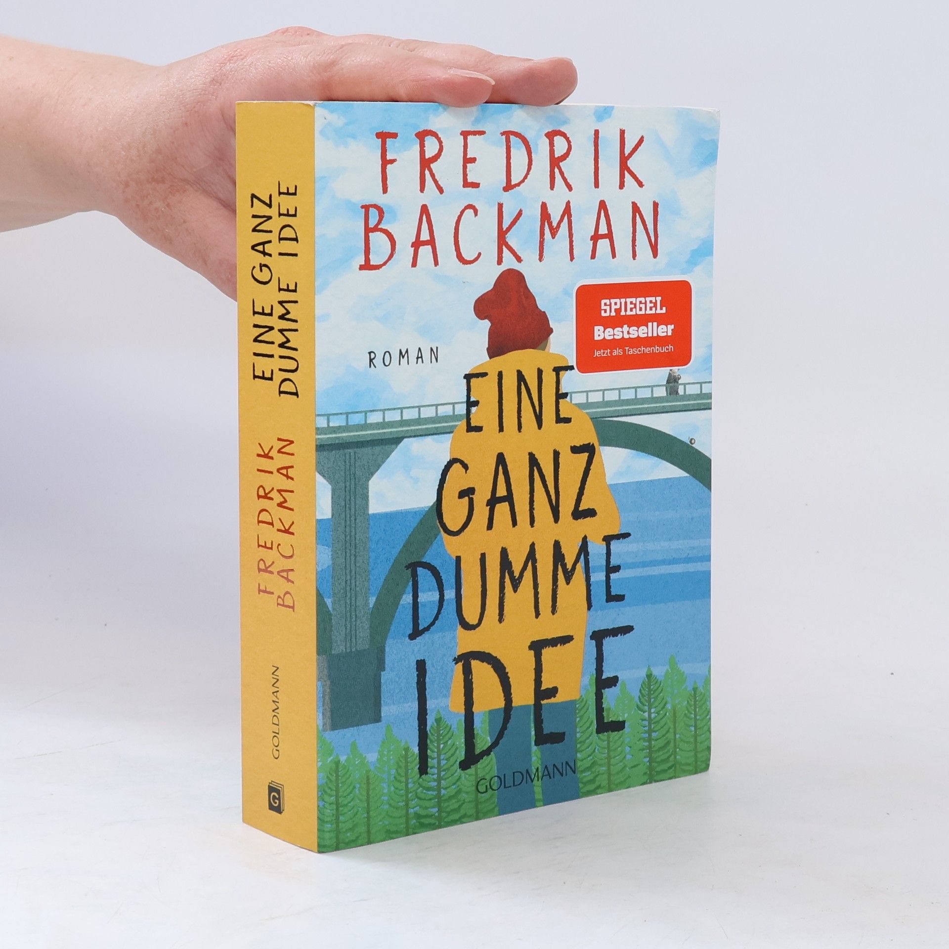 Fredrik Backman Eine ganz dumme Idee
