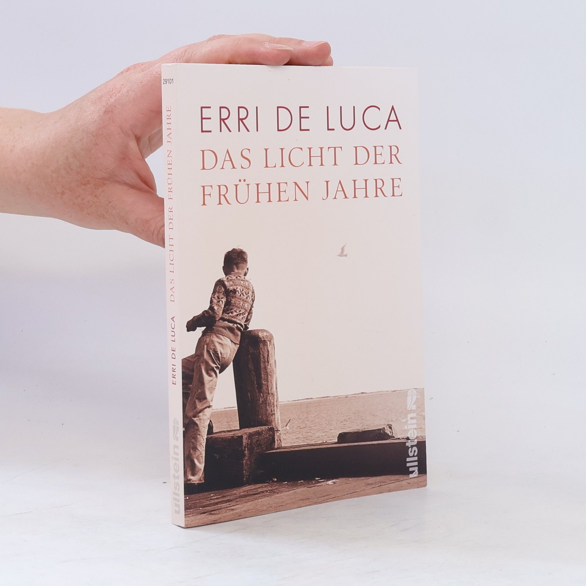 Erri De Luca Das Licht der frühen Jahre