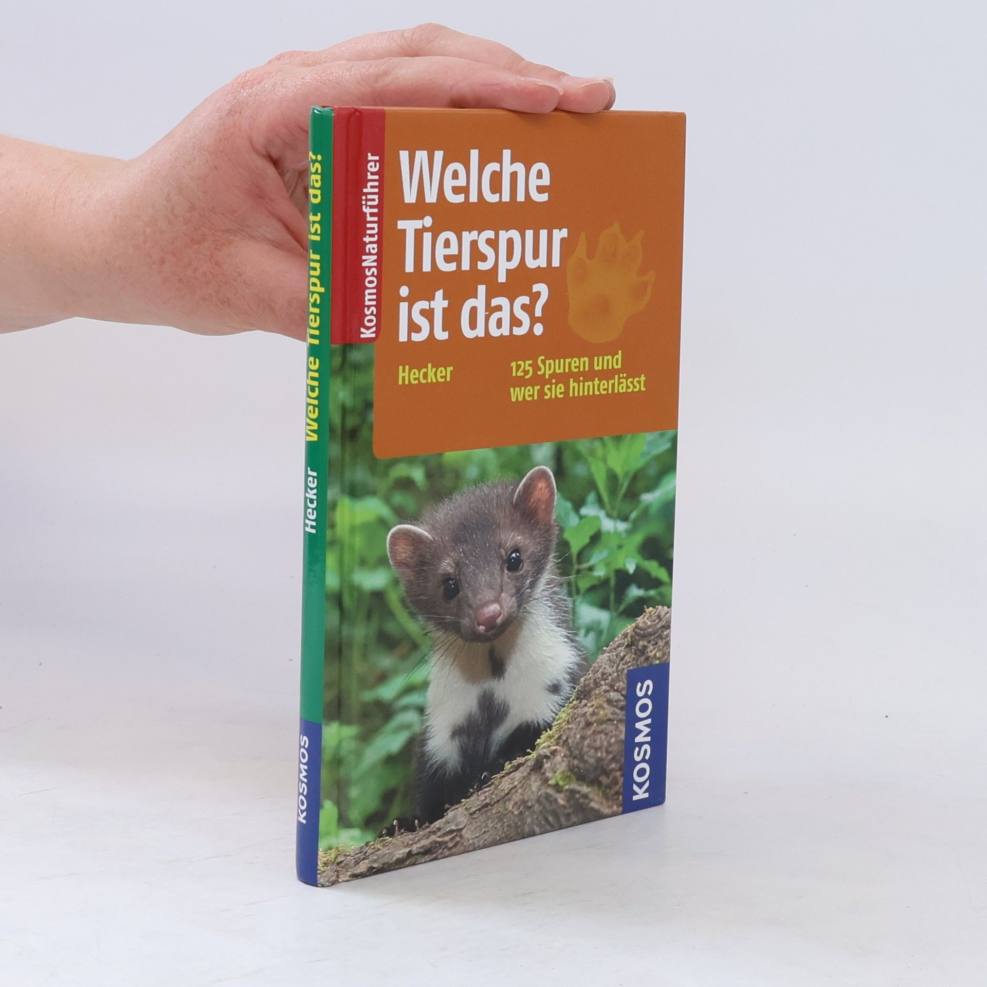 Katrin Hecker Welche Tierspur ist das?