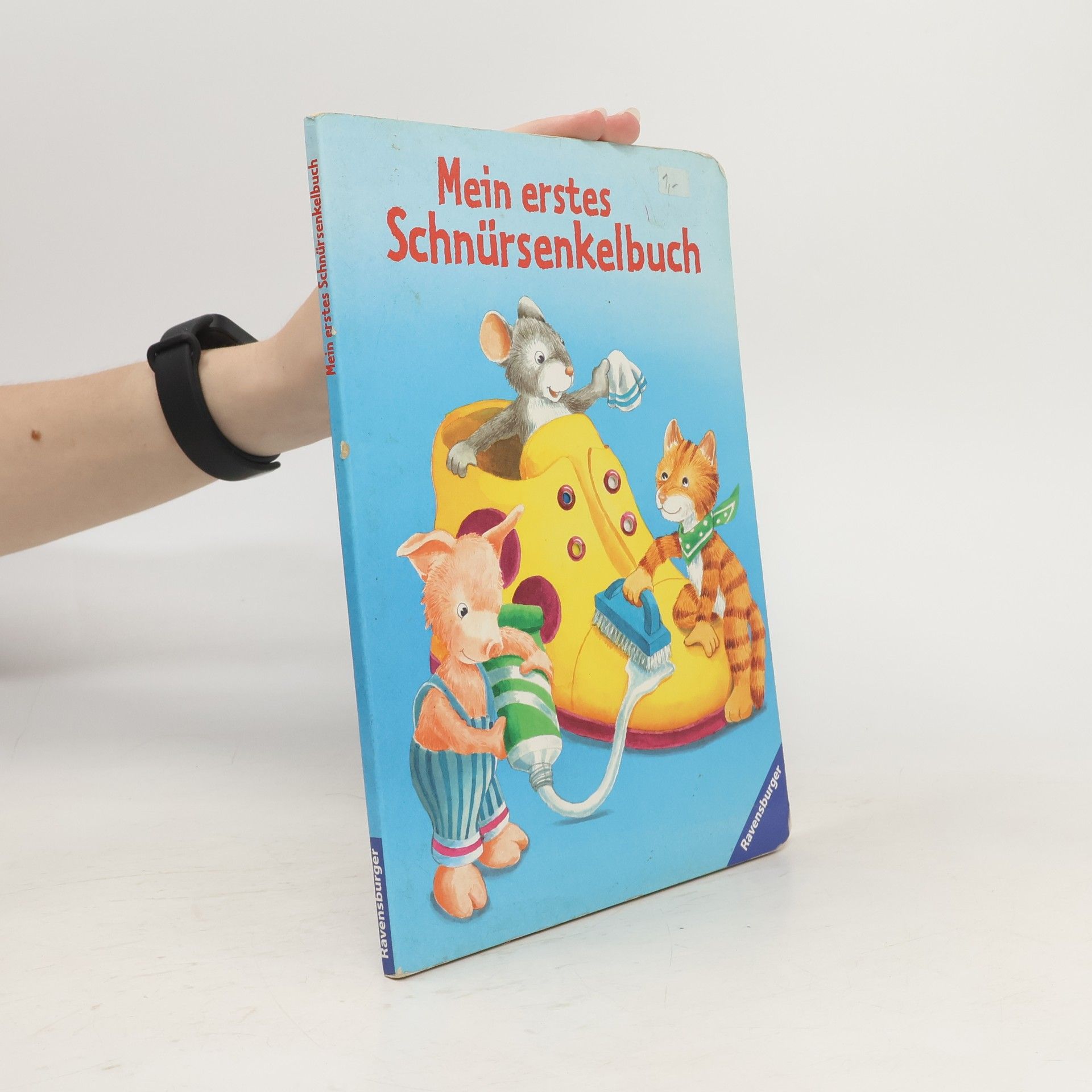 Collectif d'auteurs Mein erstes Schnürsenkelbuch