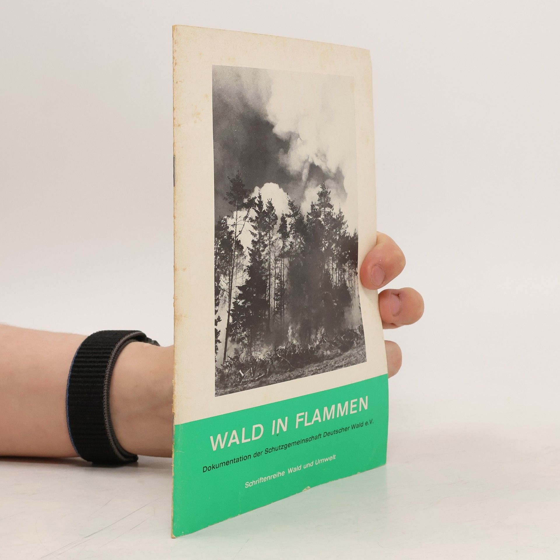 kolektiv Wald in Flammen