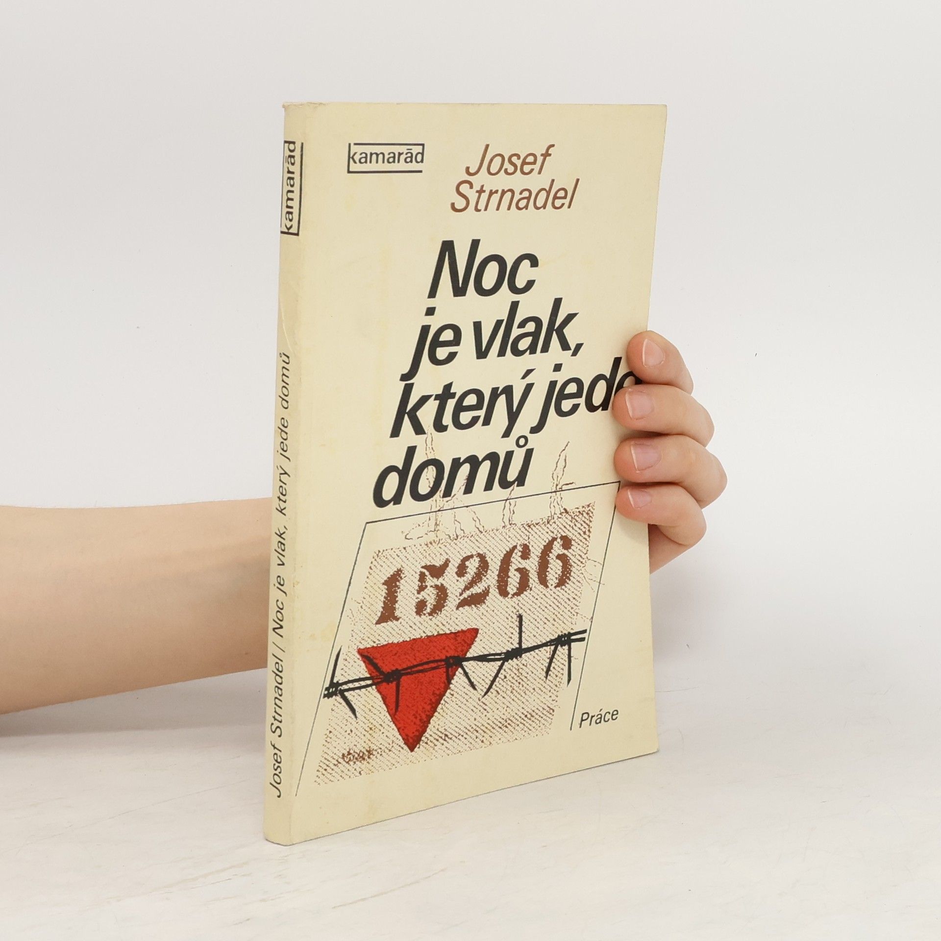 Josef Strnadel Noc je vlak, který jede domů