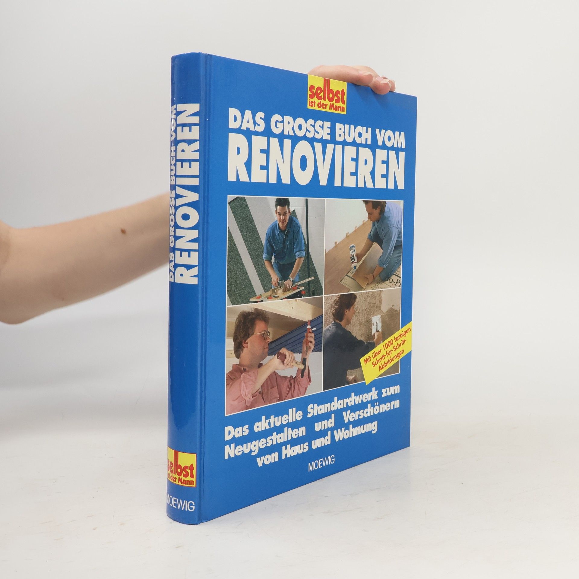 Hans Altmeyer Das grosse Buch vom Renovieren