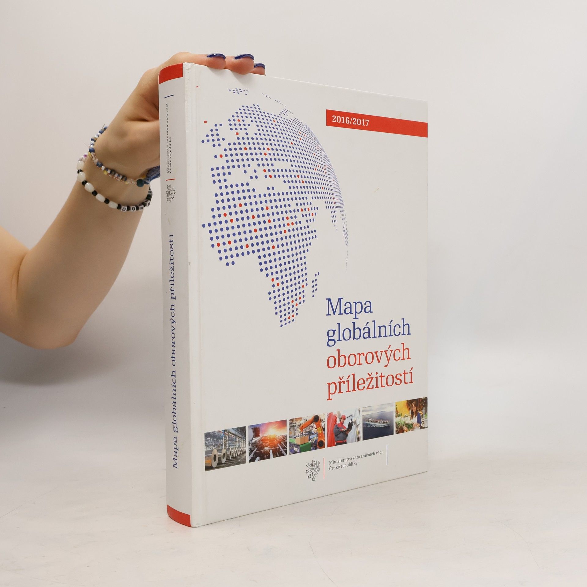 Martin Tlapa Mapa globálních oborových příležitostí