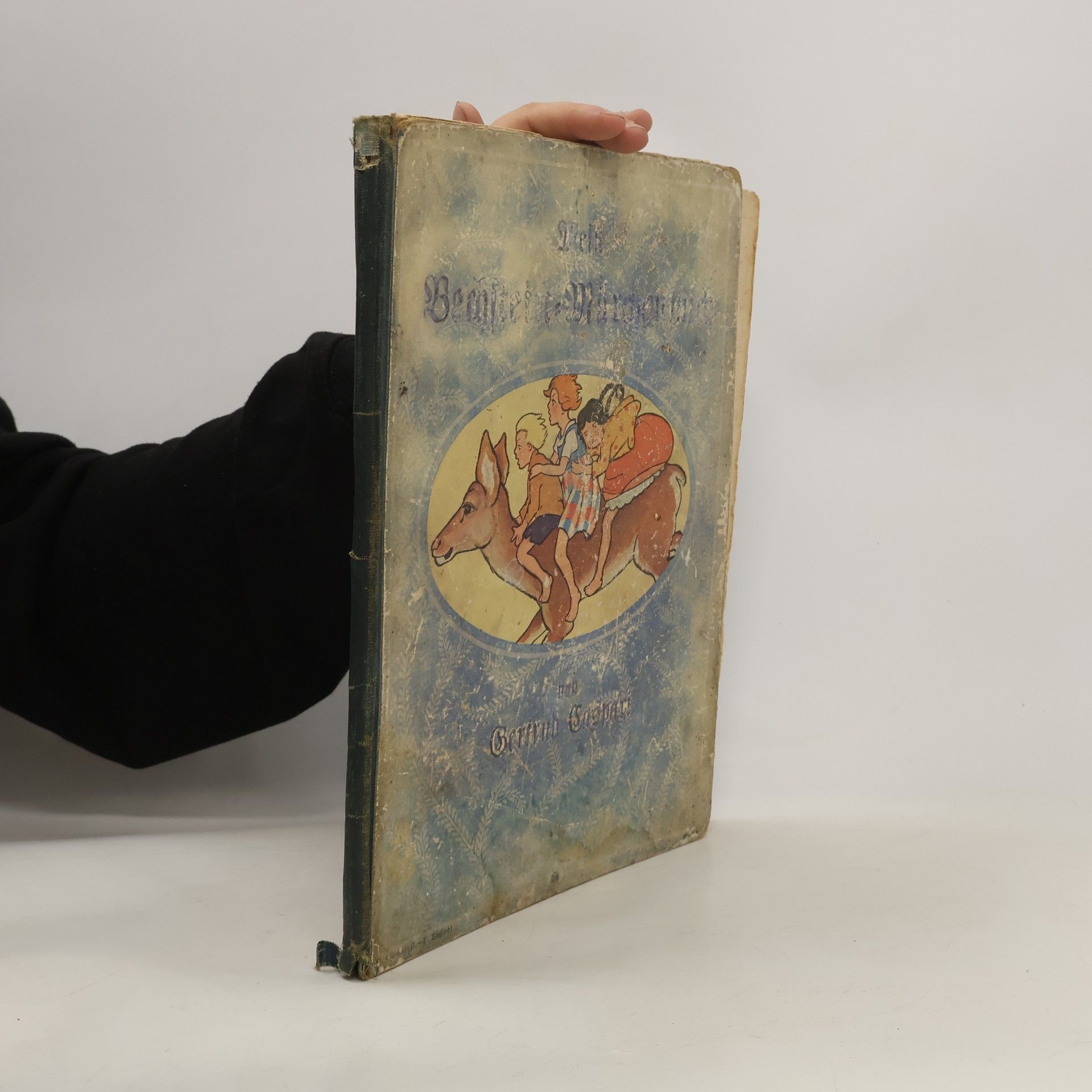 Gertrud Caspari Mein Bechstein-Märchenbuch