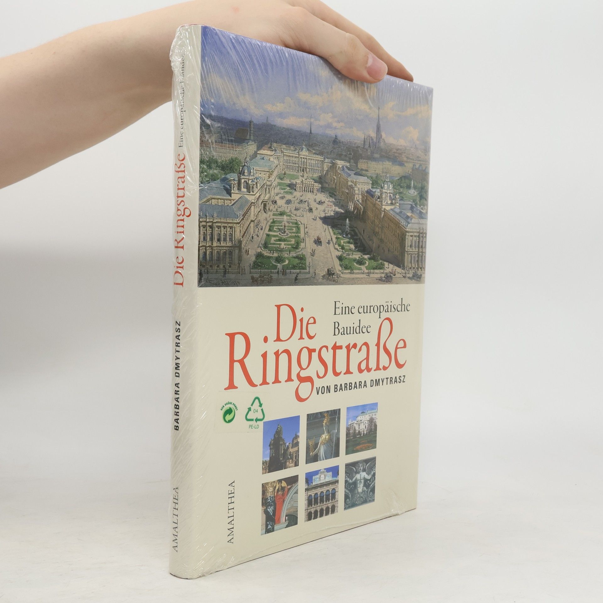 Barbara Dmytrasz Die Ringstraße