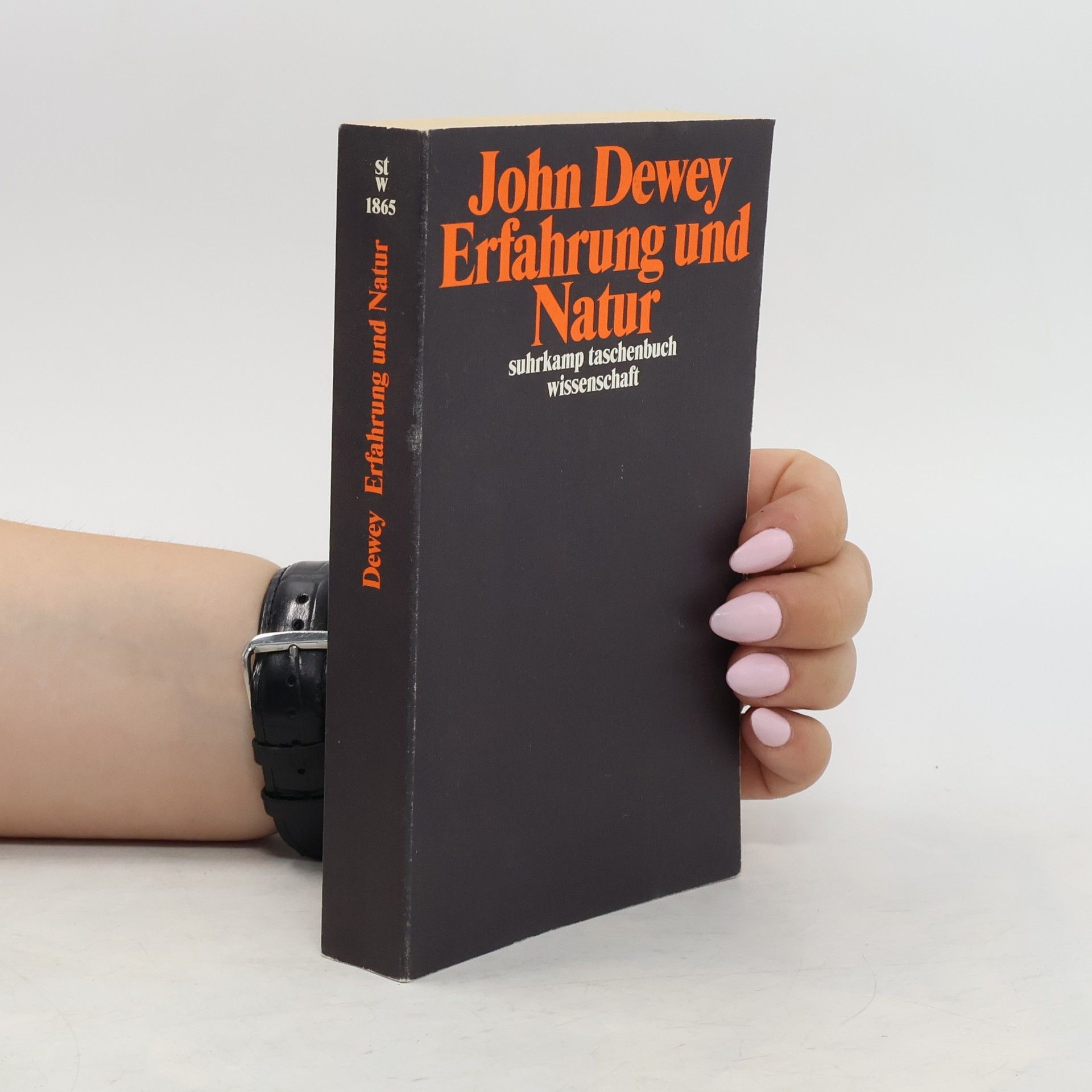 John Dewey Erfahrung und Natur