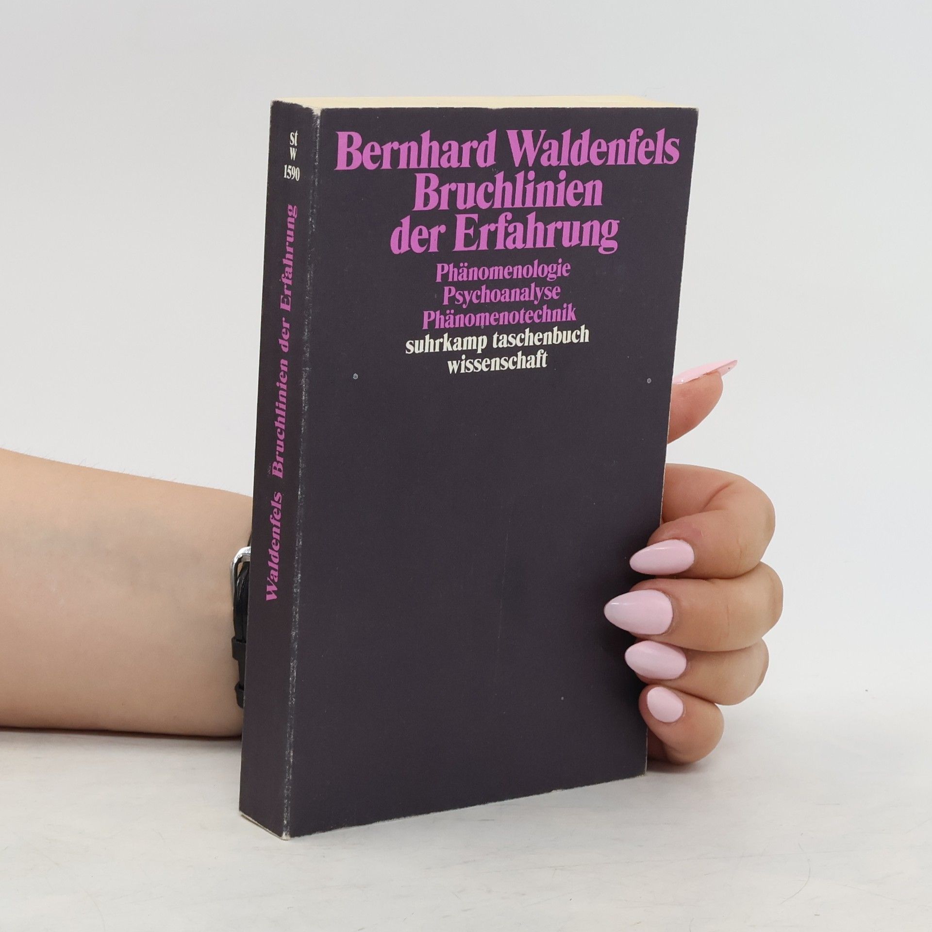 Bernhard Waldenfels Bruchlinien der Erfahrung