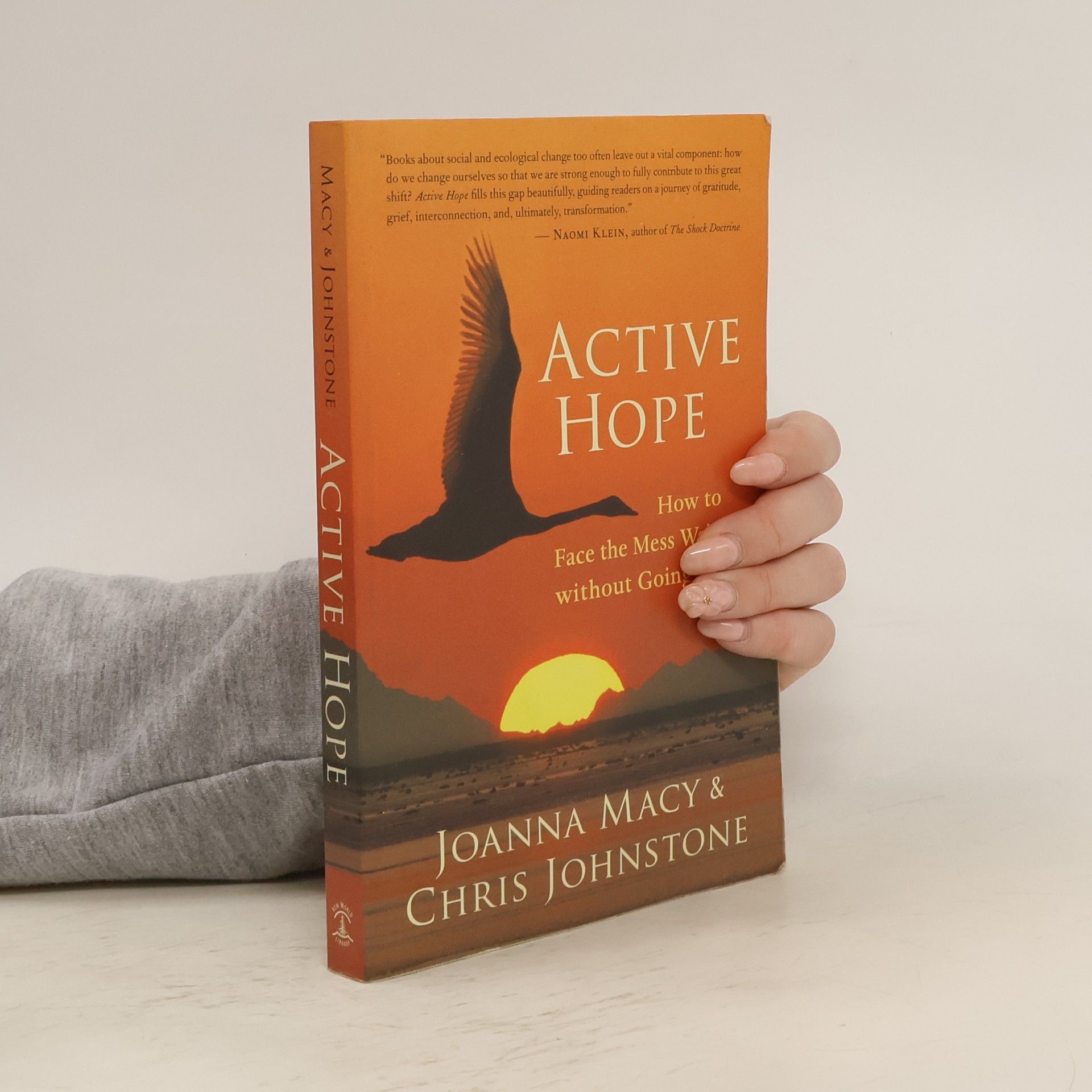 Chris Johnstone Active Hope
