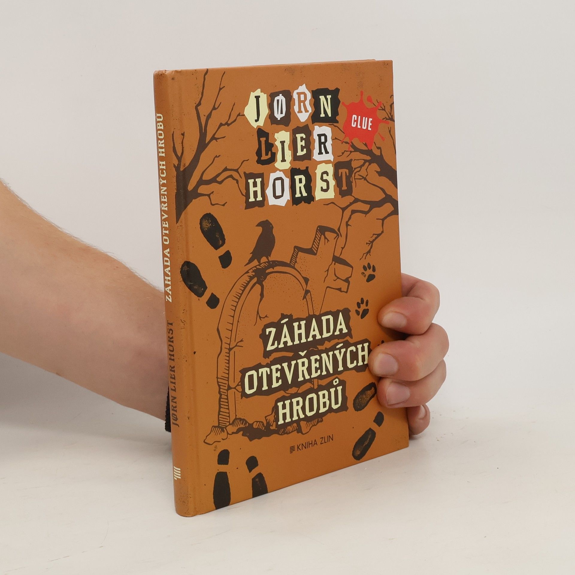 Jorn Lier Horst Záhada otevřených hrobů