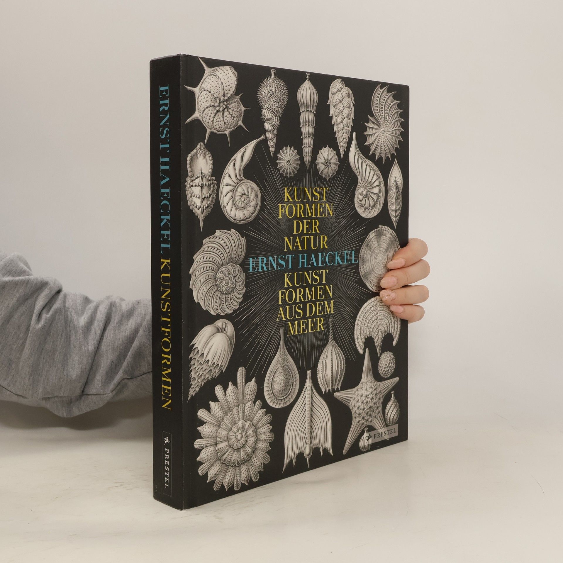 Olaf Breidbach Kunstformen der Natur - Kunstformen aus dem Meer