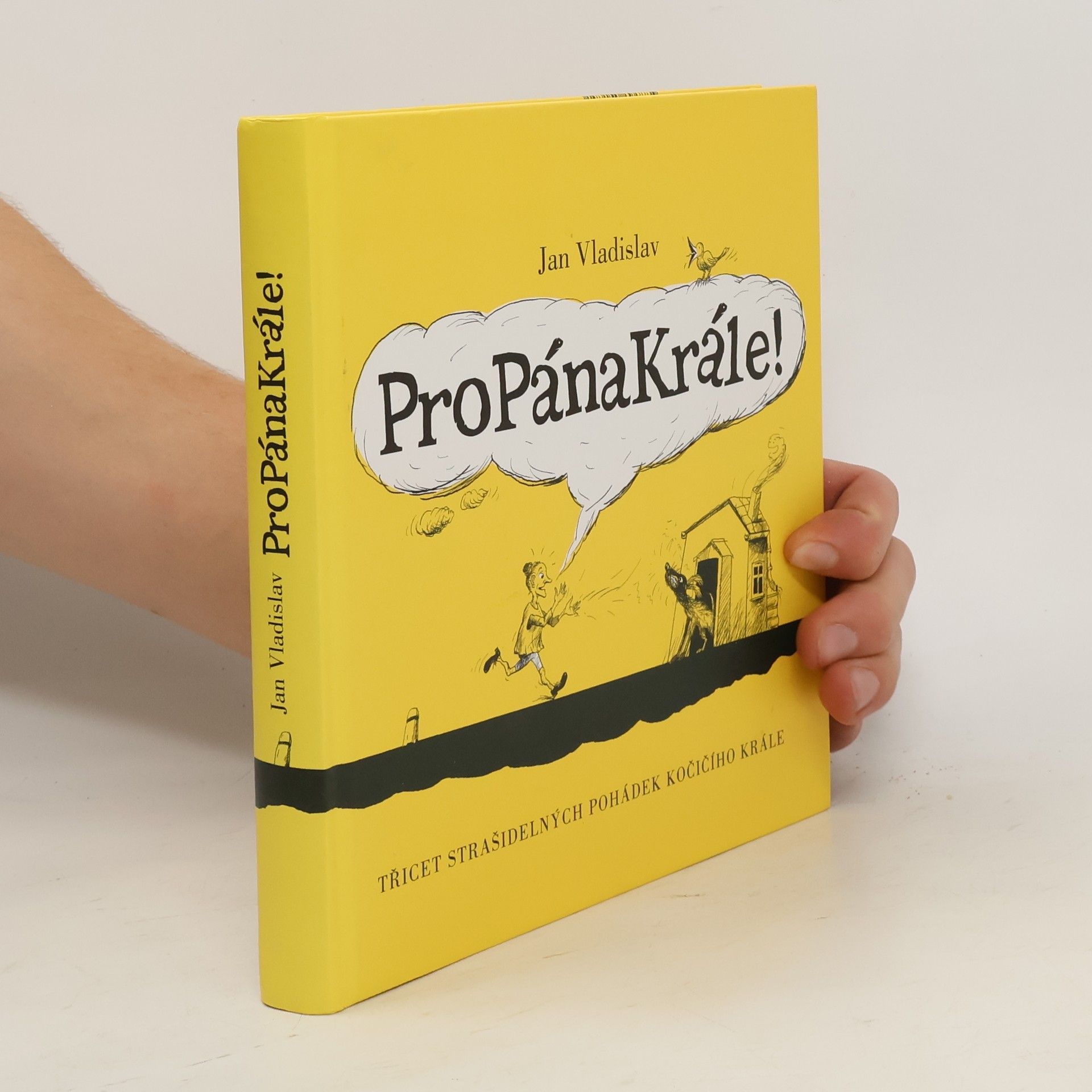 Jan Vladislav ProPánaKrále! : [třicet strašidelných pohádek kočičího krále]
