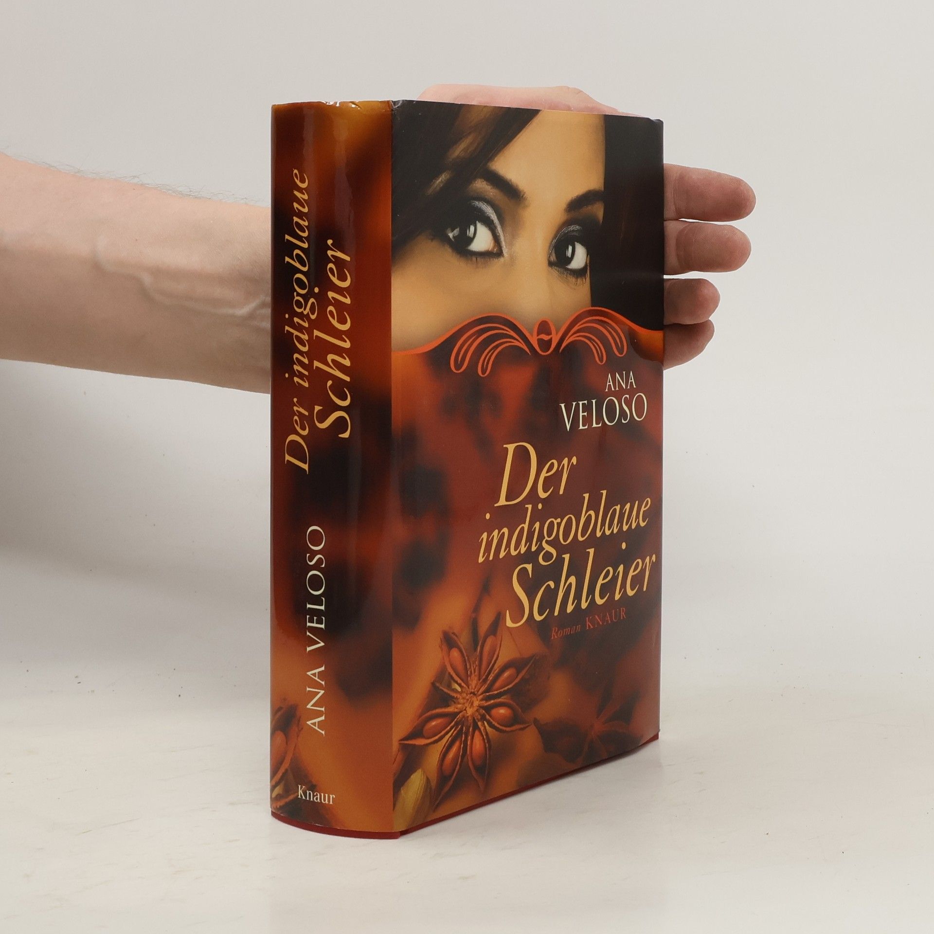Ana Veloso Der indigoblaue Schleier