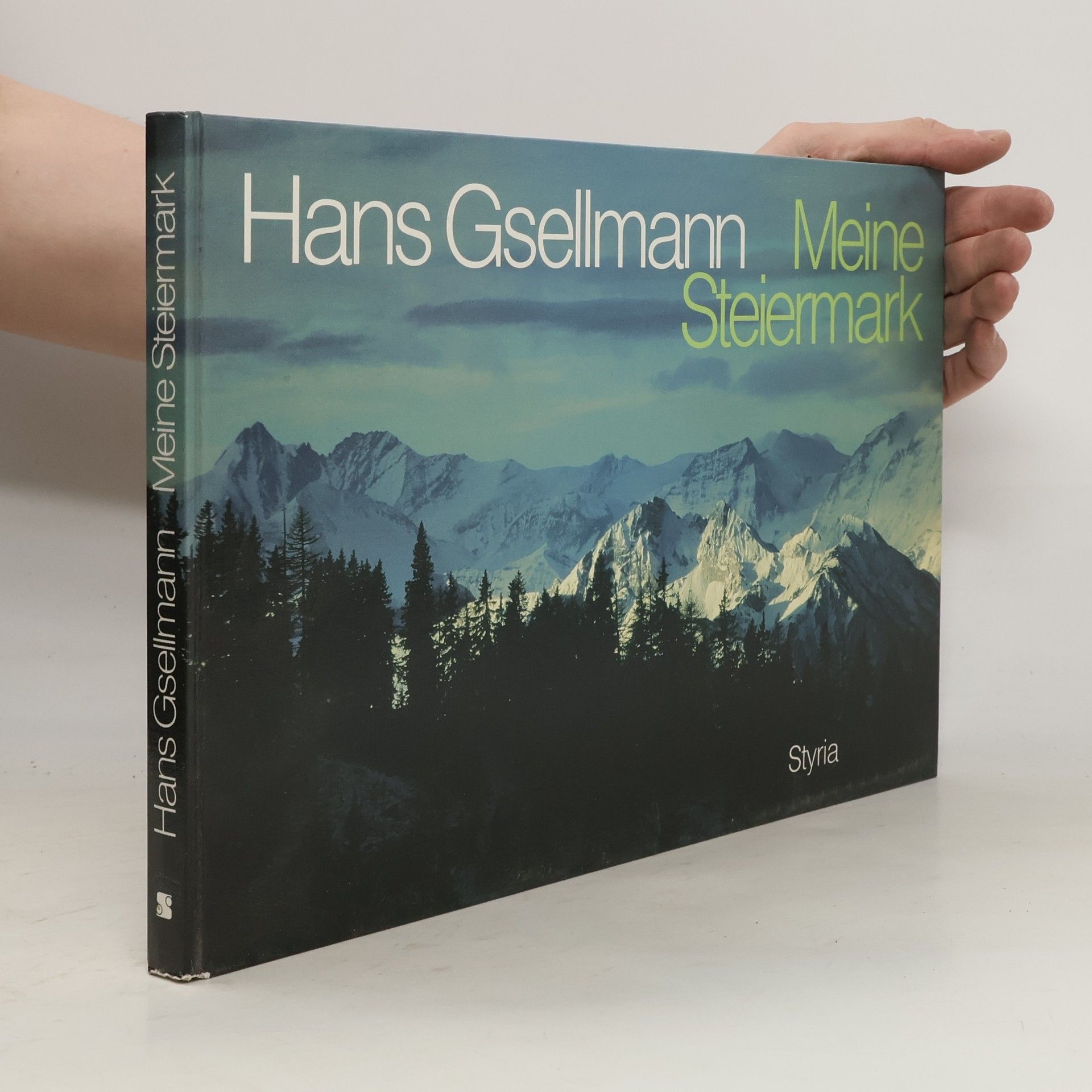 Hans Gsellmann Meine Steiermark