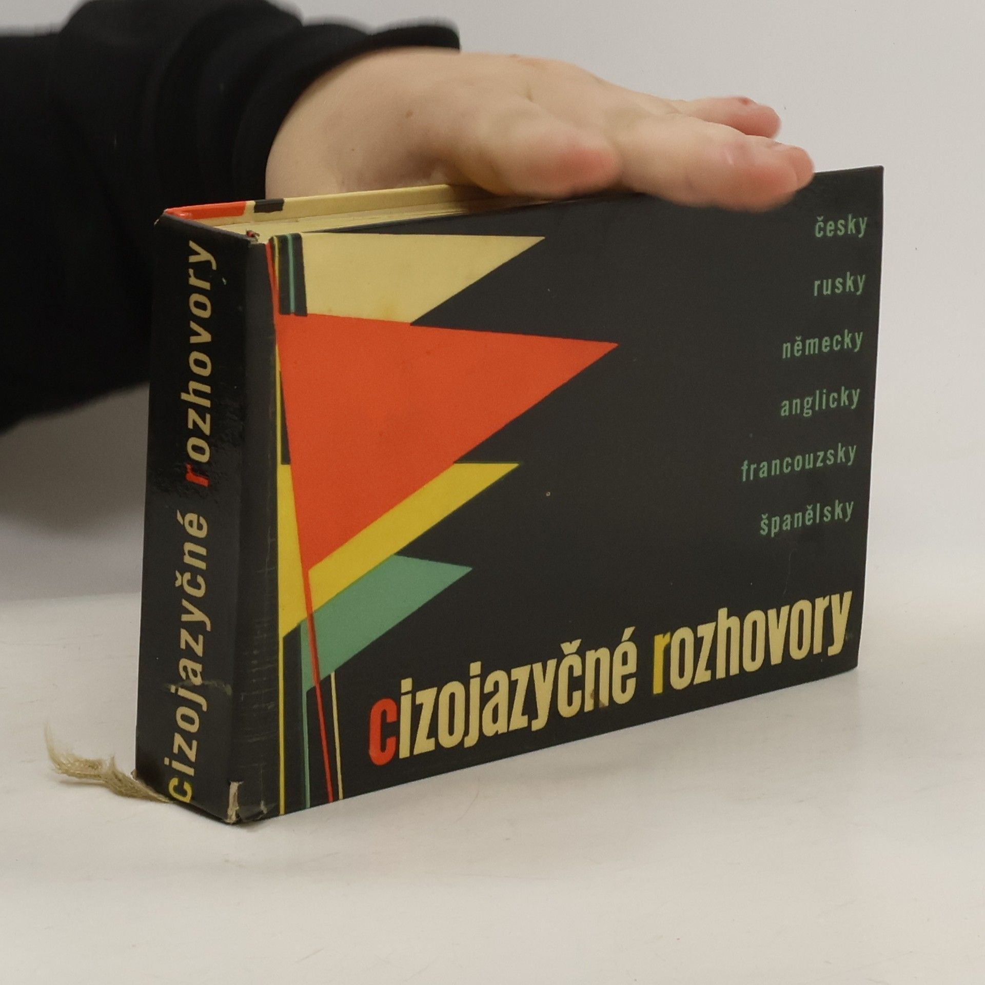 Karel Jungwirth Cizojazyčné rozhovory