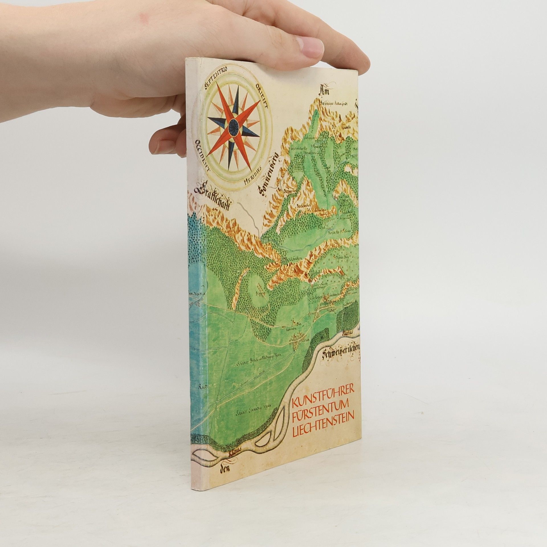 AA.VV. Kunstführer Fürstentum Liechtenstein