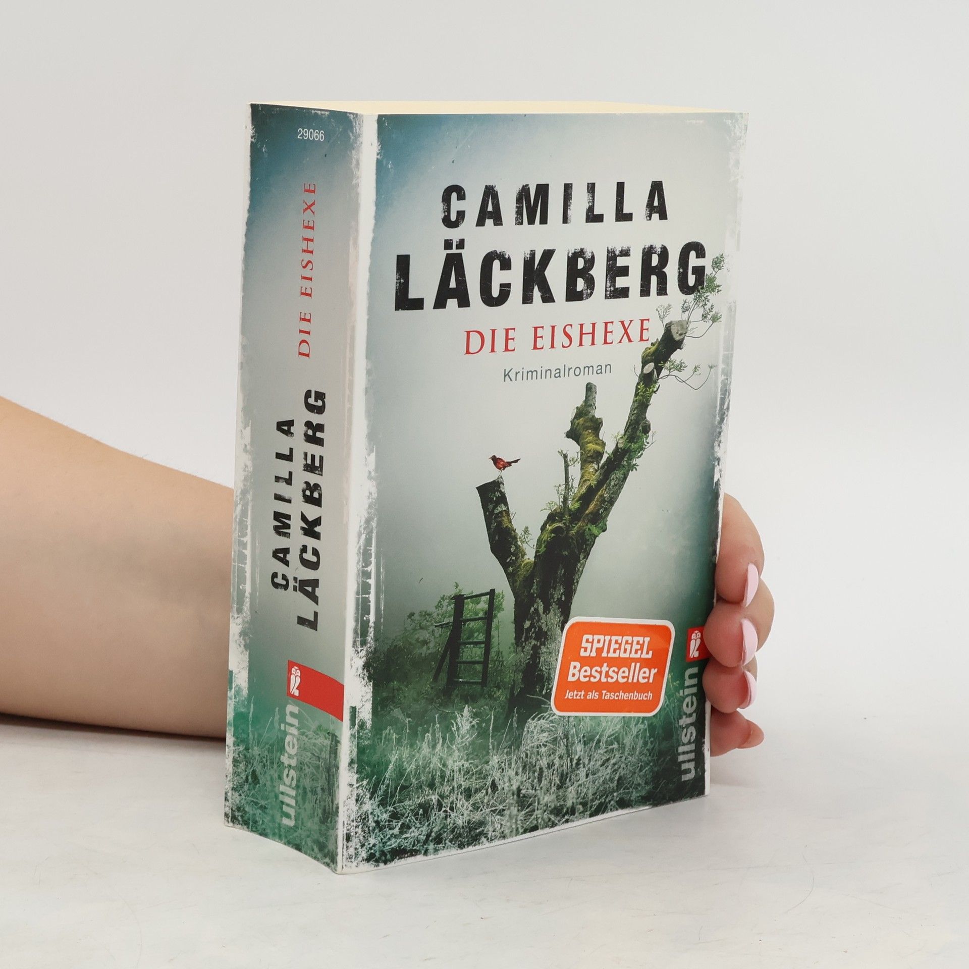 Camilla Läckberg Die Eishexe
