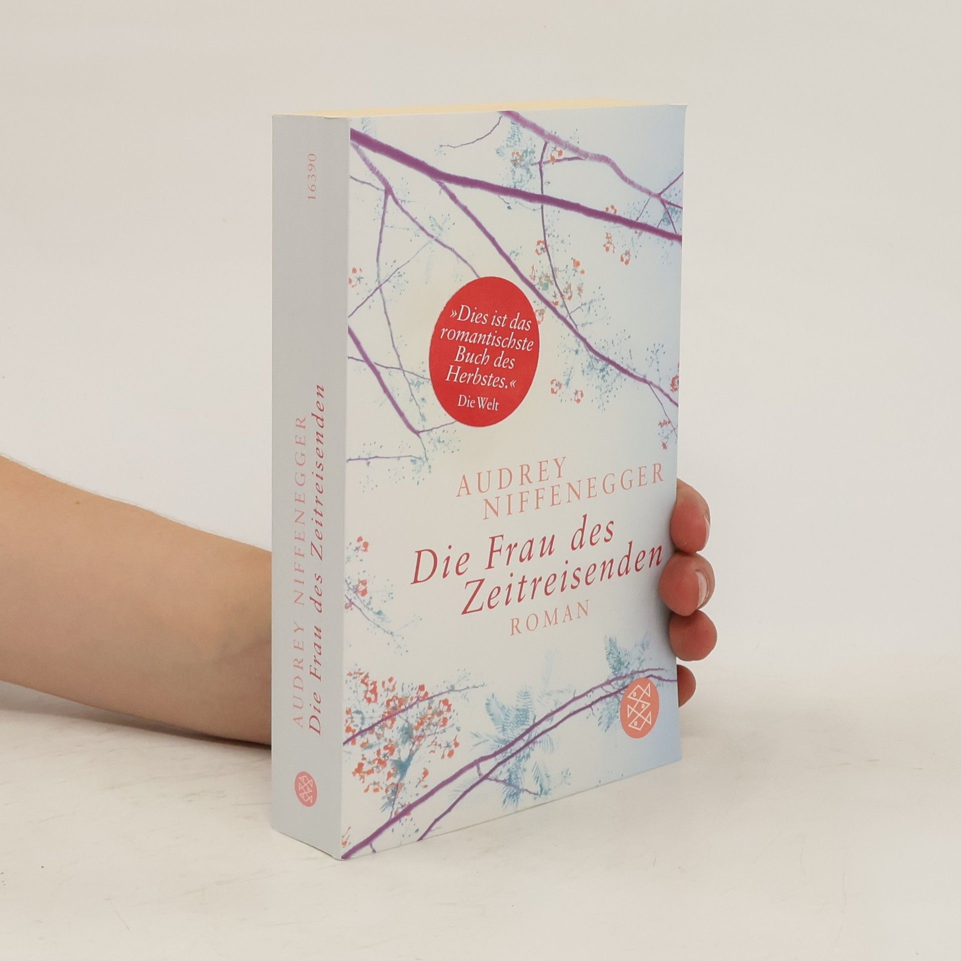 Audrey Niffenegger Die Frau des Zeitreisenden
