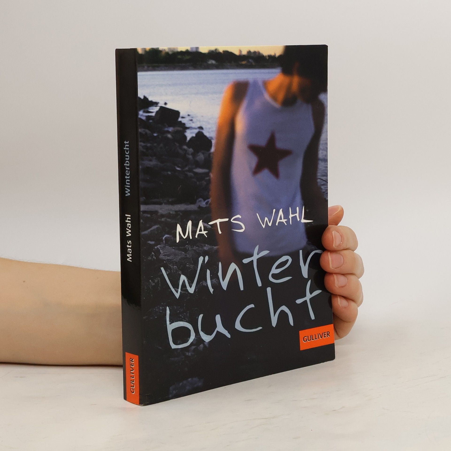 Mats Wahl Winterbucht