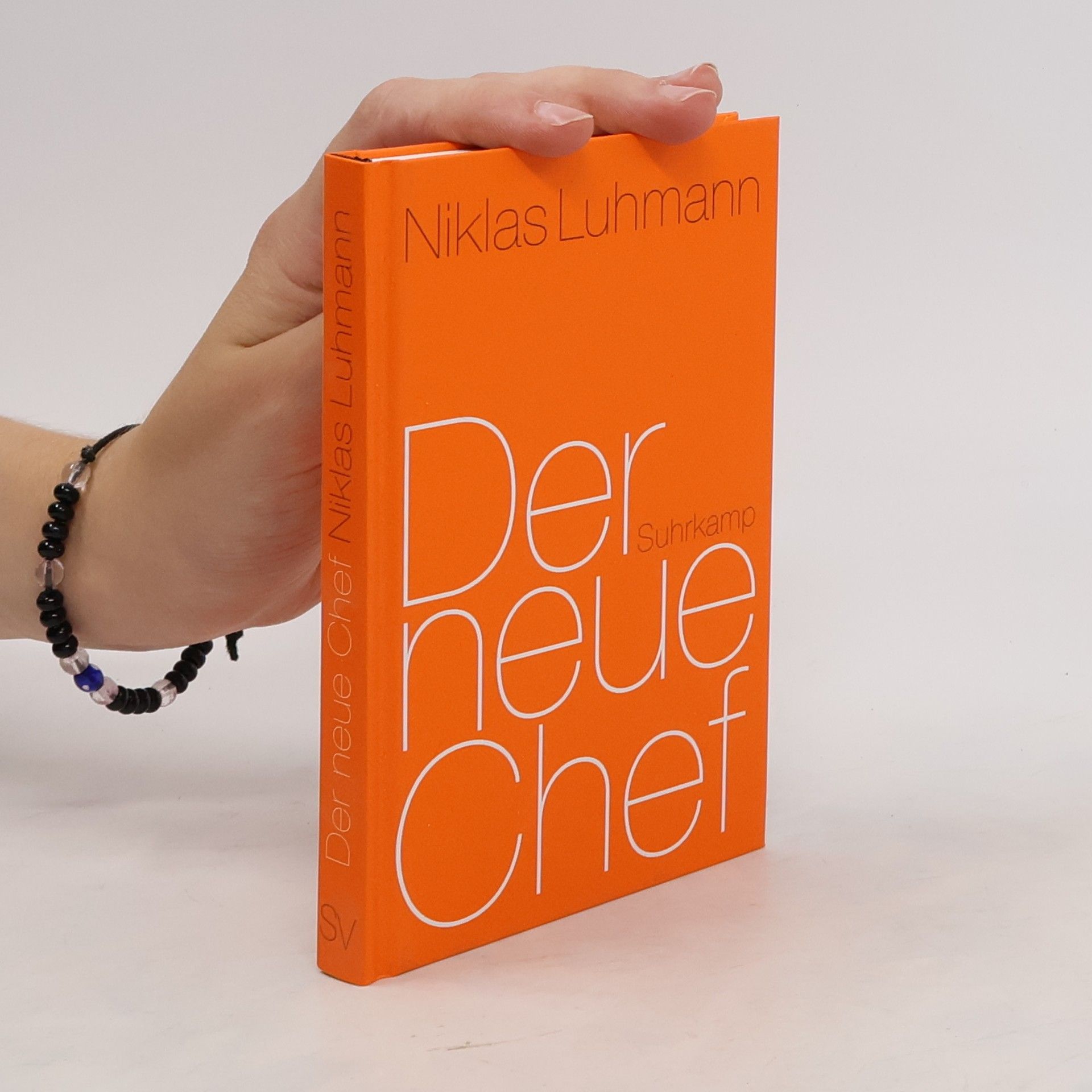 Niklas Luhmann Der neue Chef