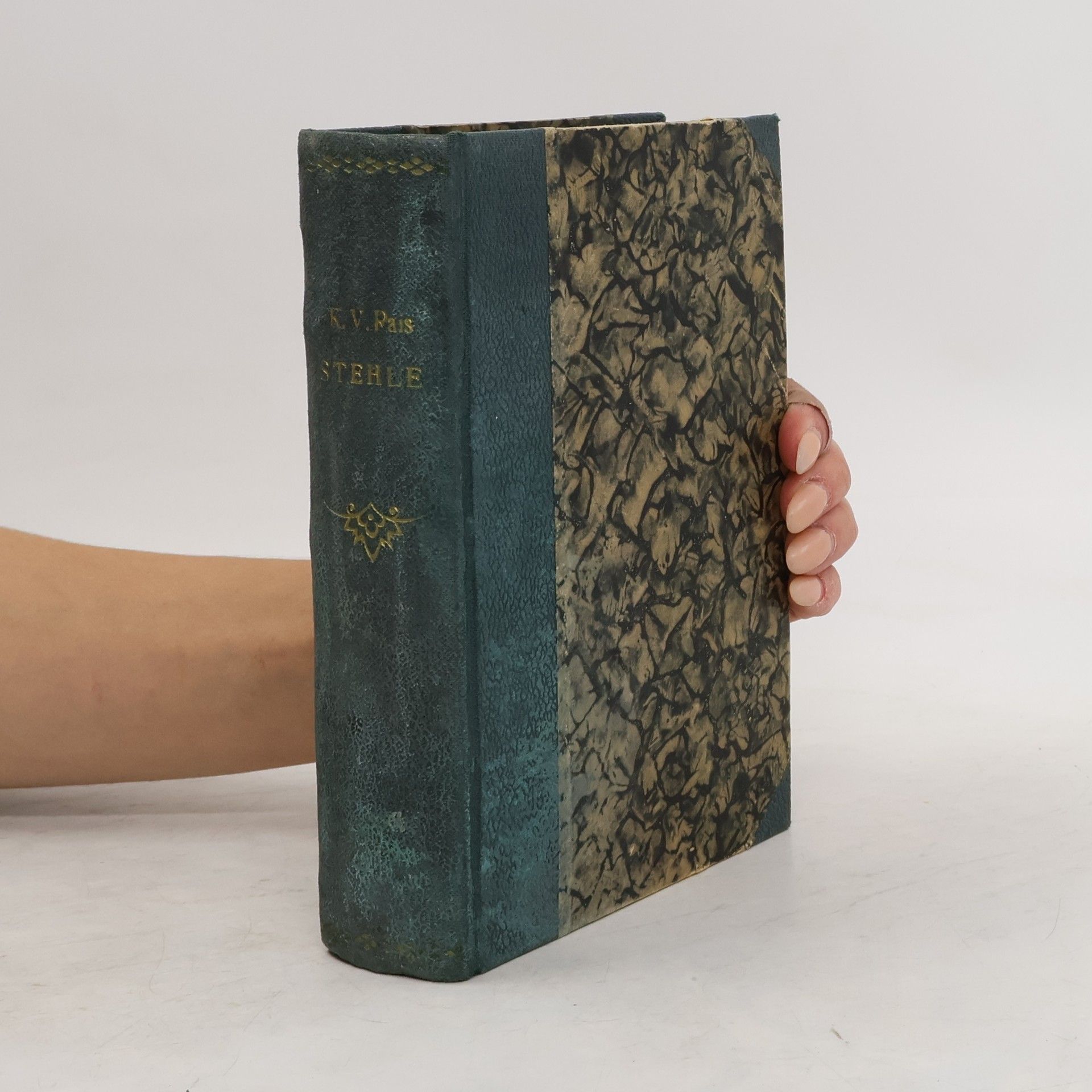 Karel Václav Rais  Raisovy spisy 16: Stehle. Podhorský obraz  Raisovy spisy 16: Stehle. Podhorský obraz  Karel Rais  1925  česky  Česká grafická unie  3724332  Stehle. Podhorský obraz