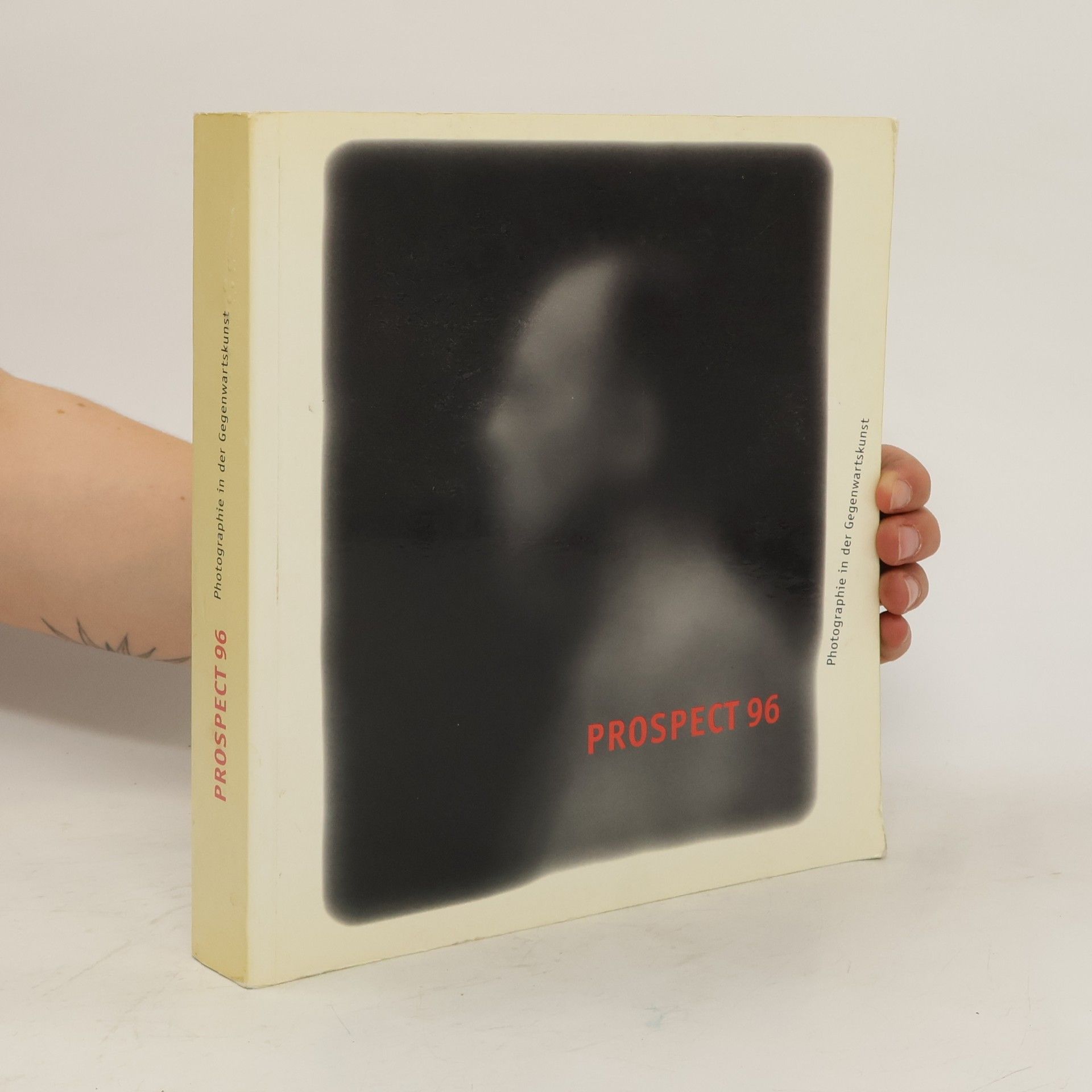 Peter Weiermair Photographie in der Gegenwartskunst