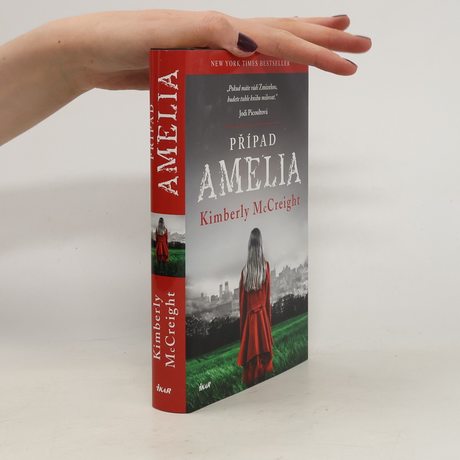 Kimberly McCreight Případ Amelia