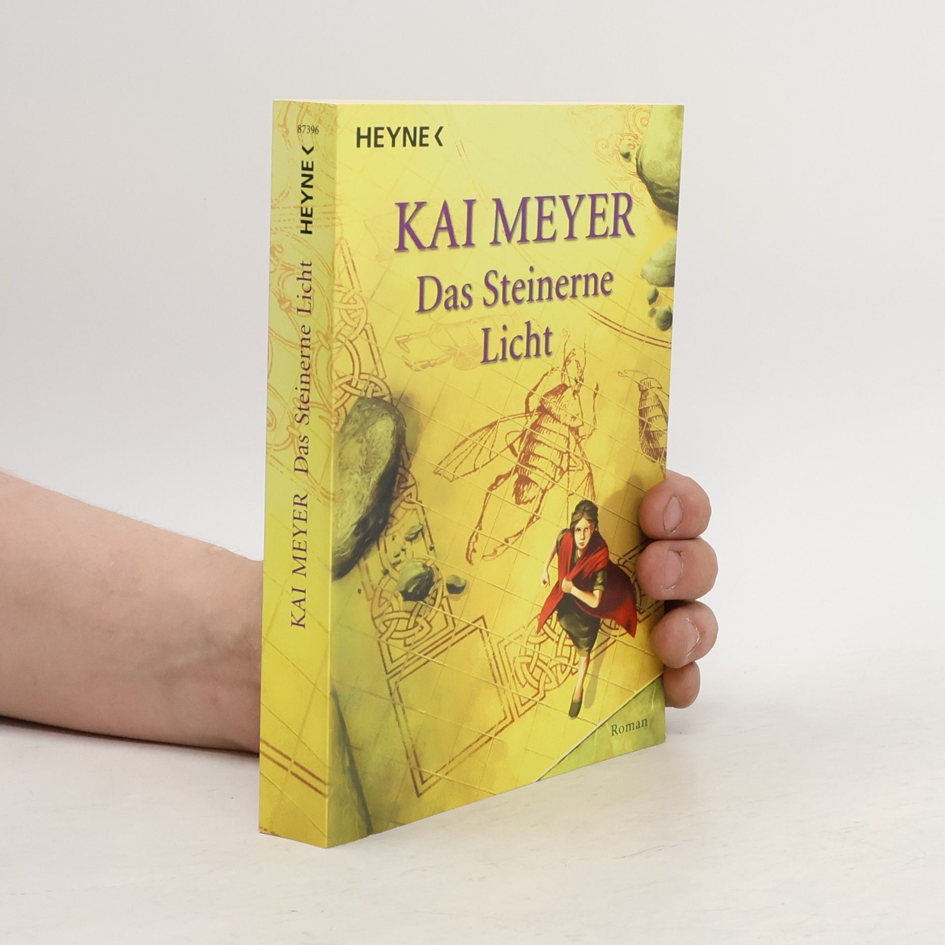 Kai Meyer Das steinerne Licht