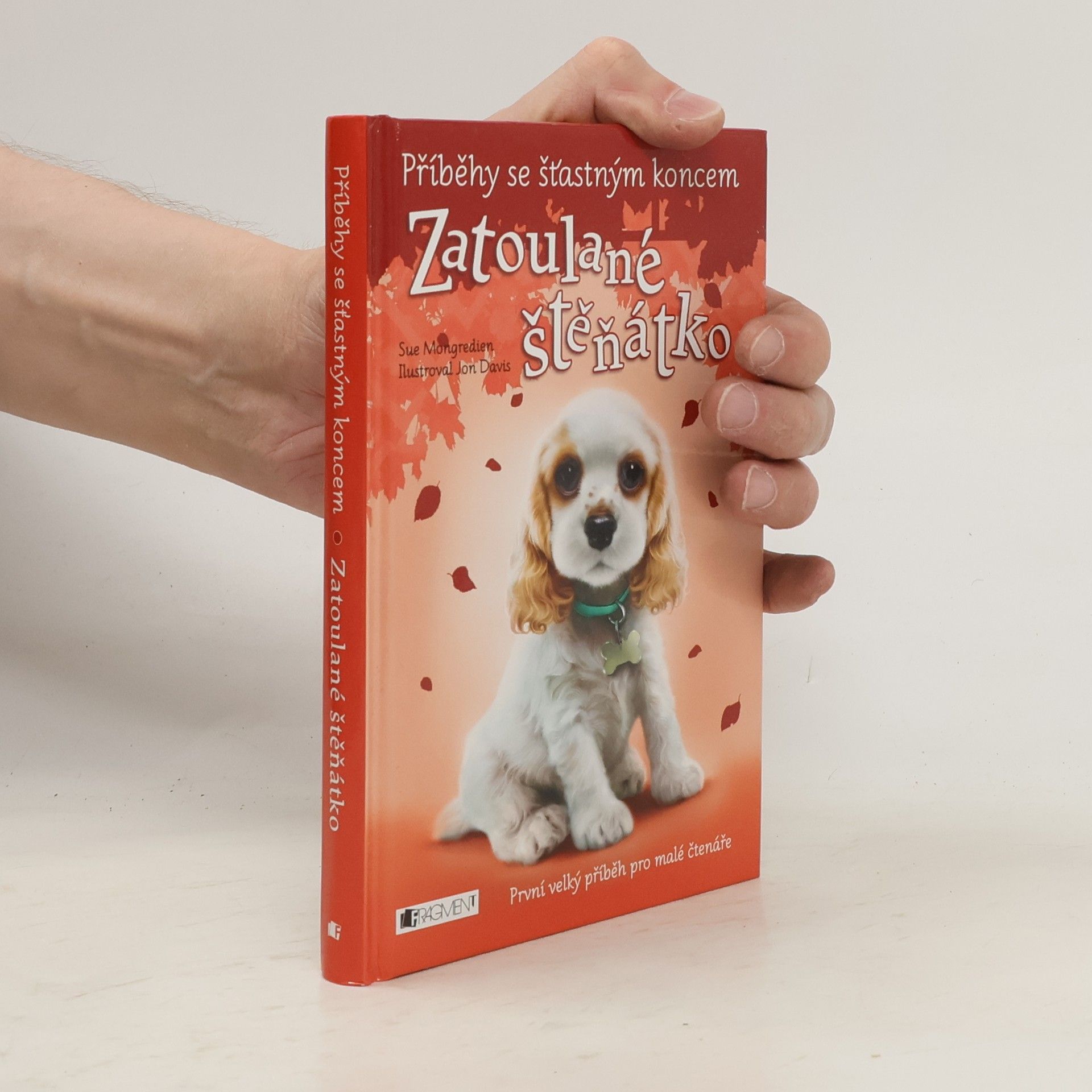 Jon Davis Zatoulané štěňátko