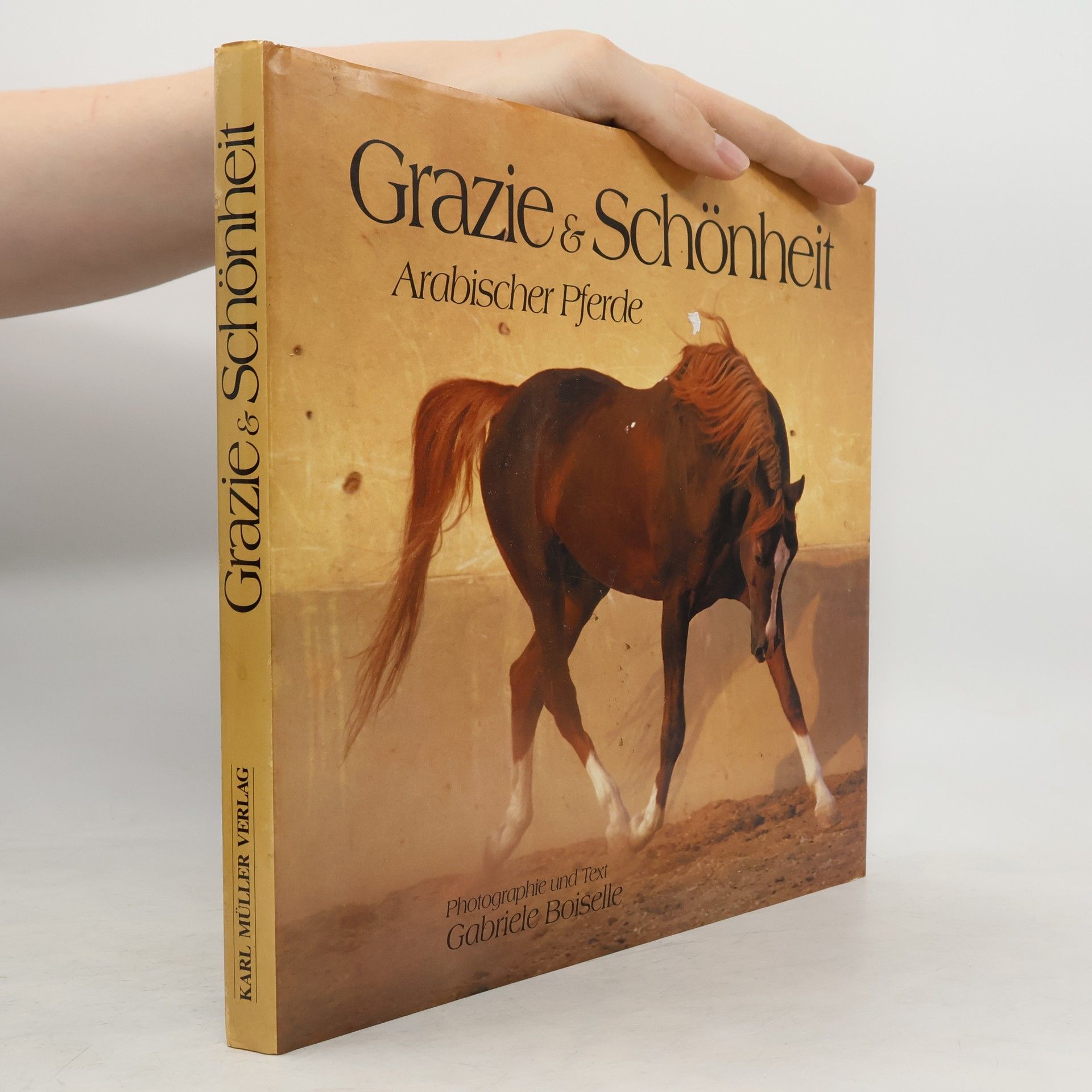 Gabrielle Boiselle Grazie & Schönheit arabischer Pferde