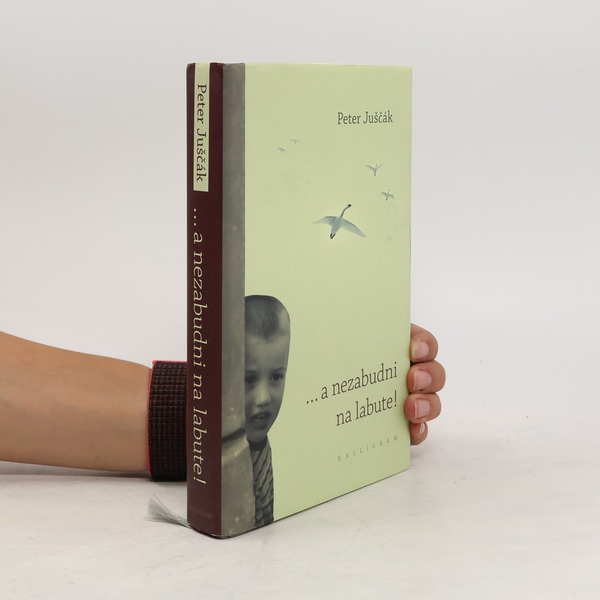 Peter Juščák ... a nezabudni na labute!