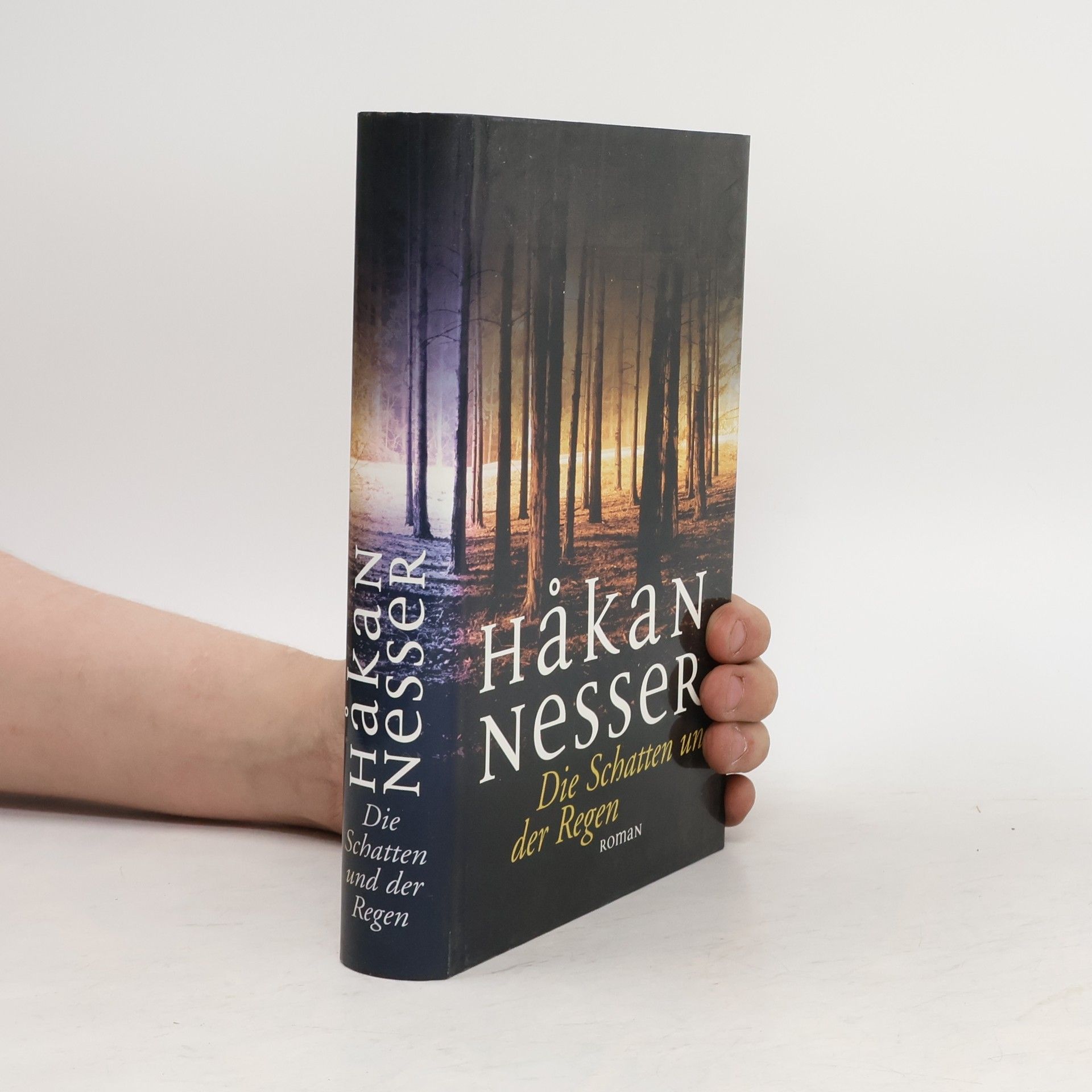 Håkan Nesser Die Schatten und der Regen