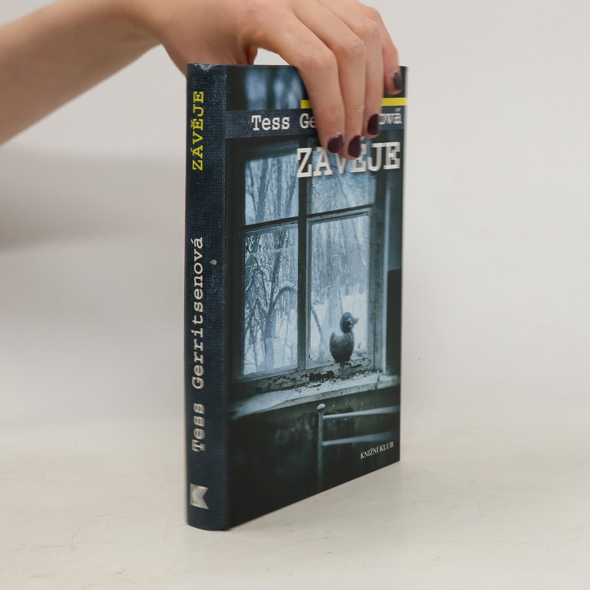 Tess Gerritsen Závěje
