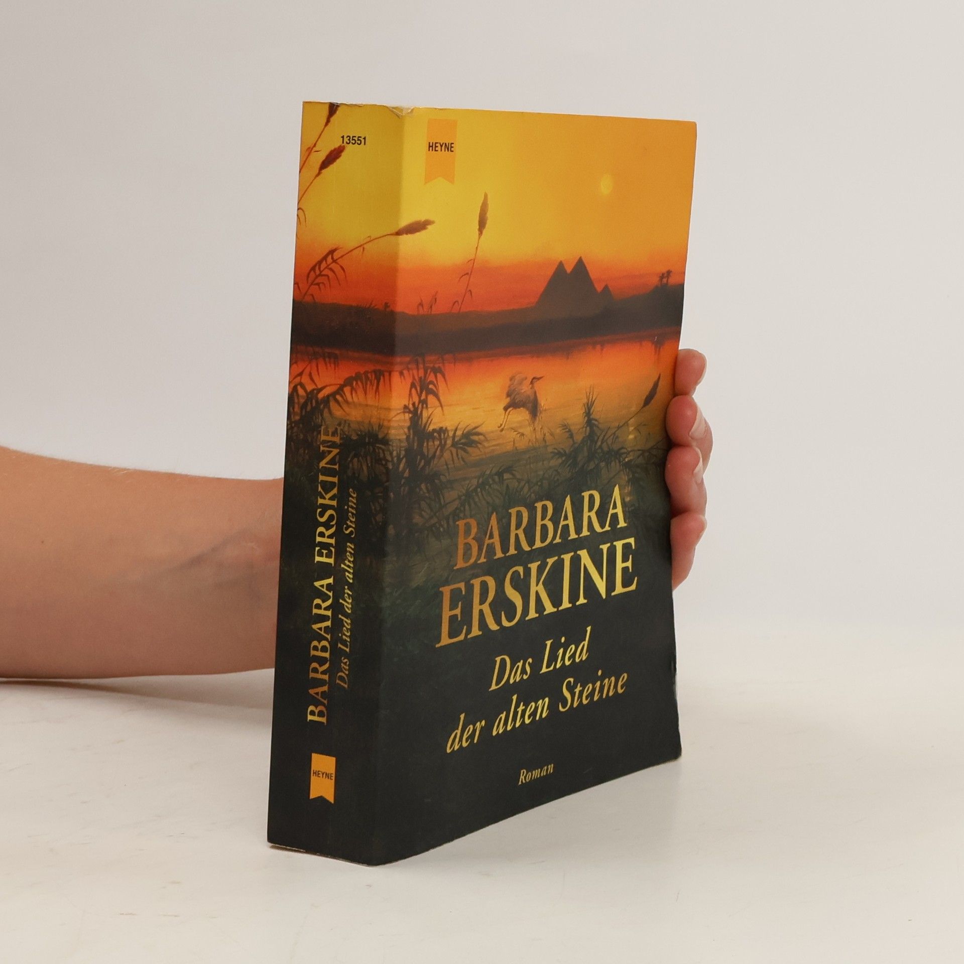 Barbara Erskine Das Lied der alten Steine