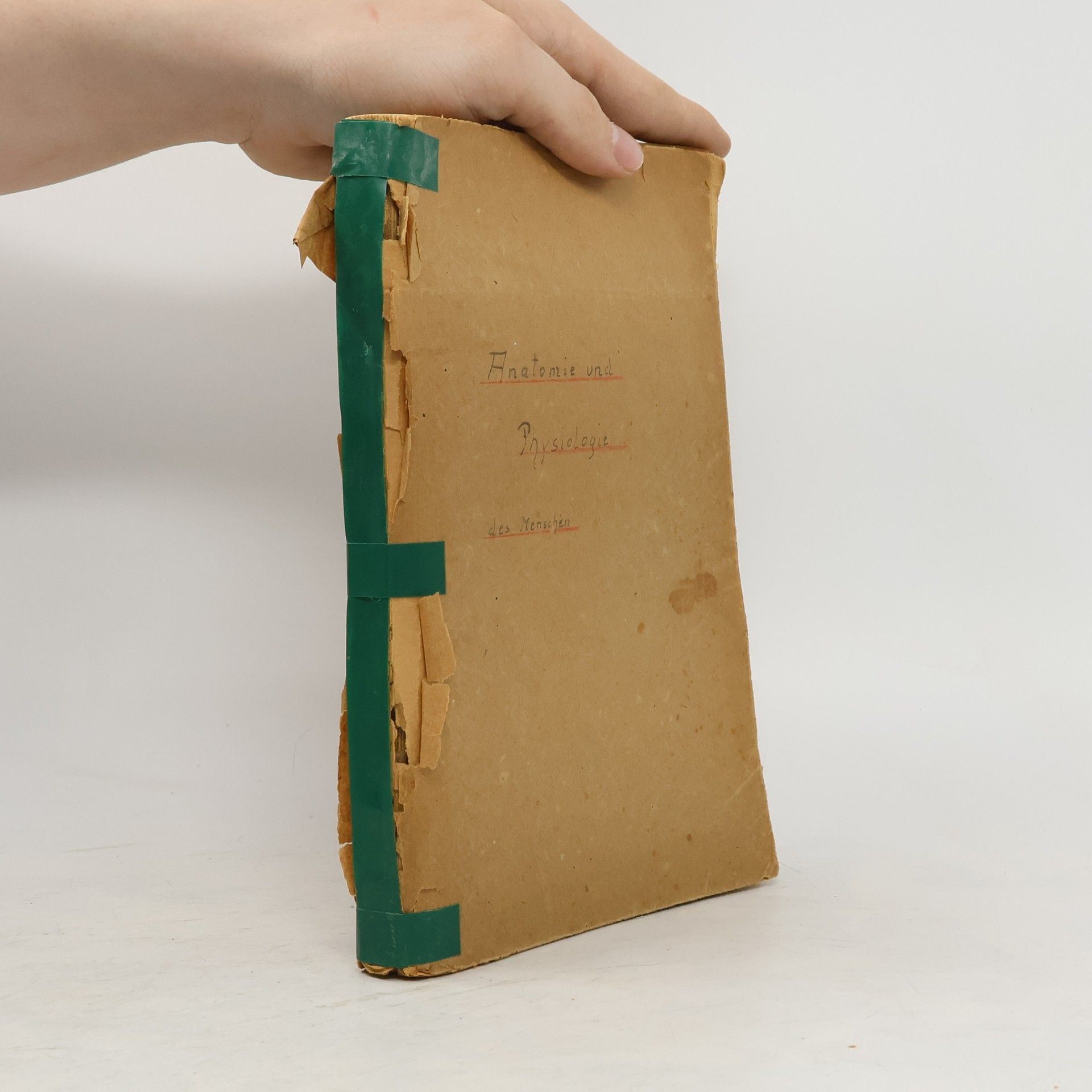 Autorenkollektiv Anatomie und Physiologie des Menschen