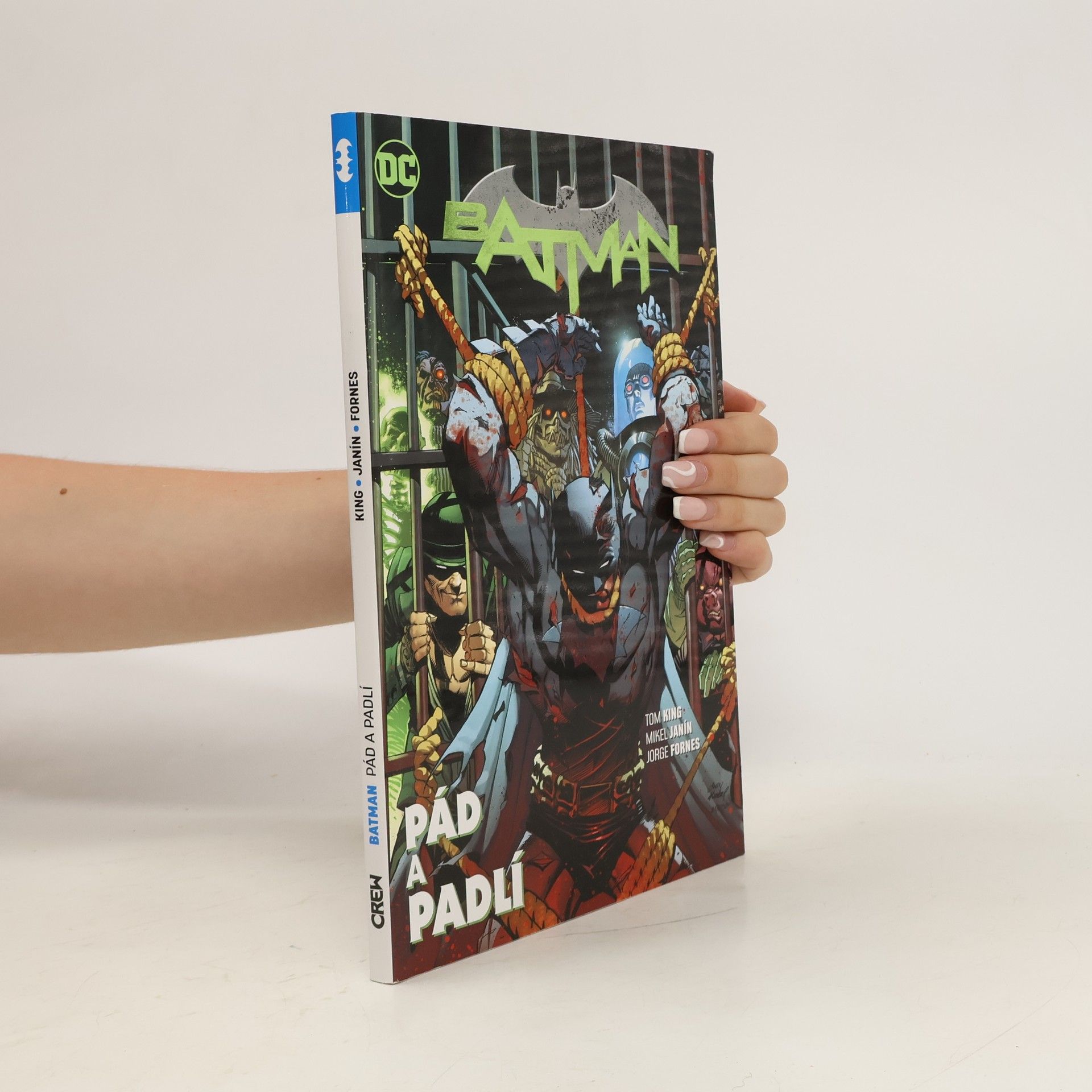 Autorenkollektiv Batman 11: Pád a Padlí